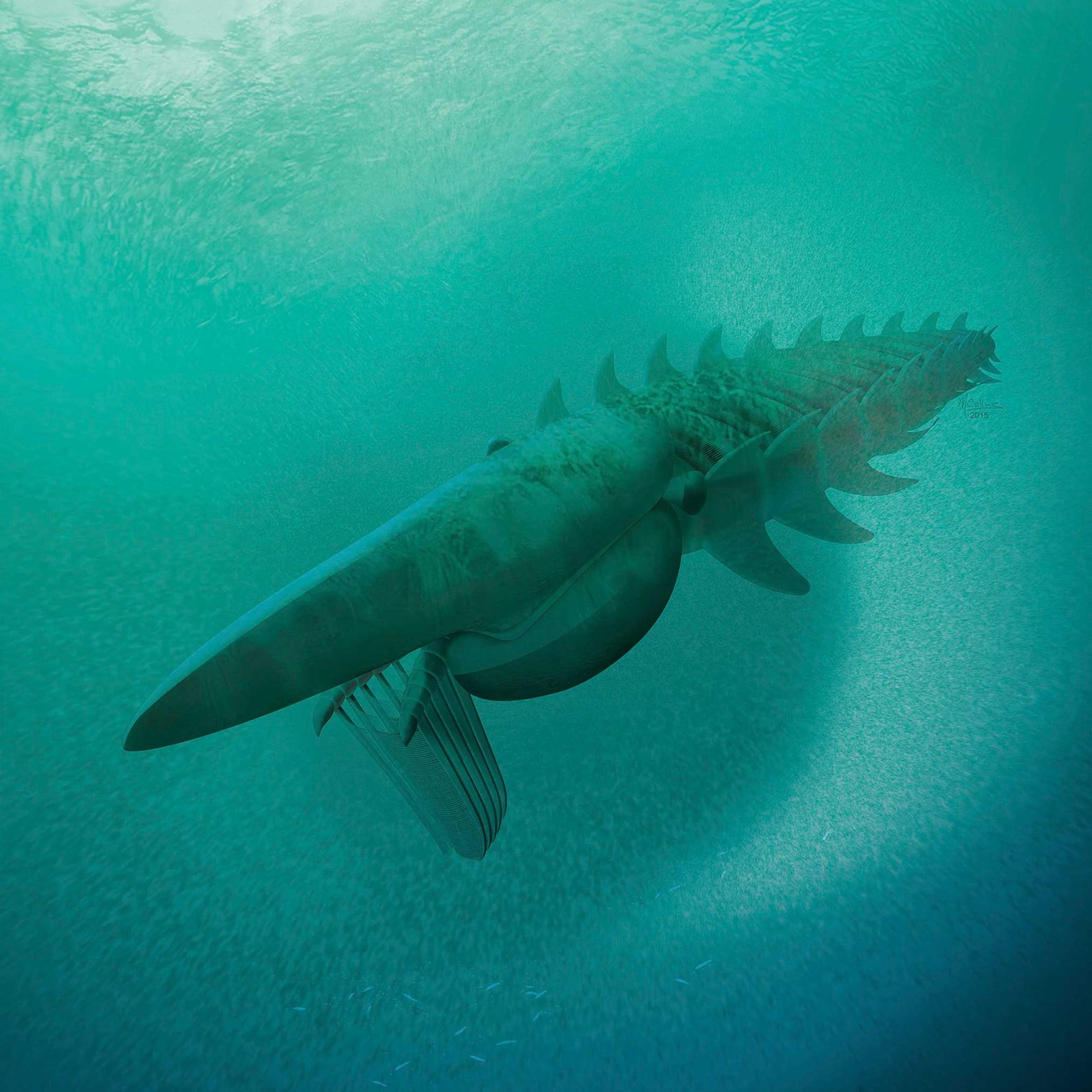 An artist's rendering of a filter-feeding Aegirocassis benmoulae from the Ordovician Period feeding on a plankton cloud.