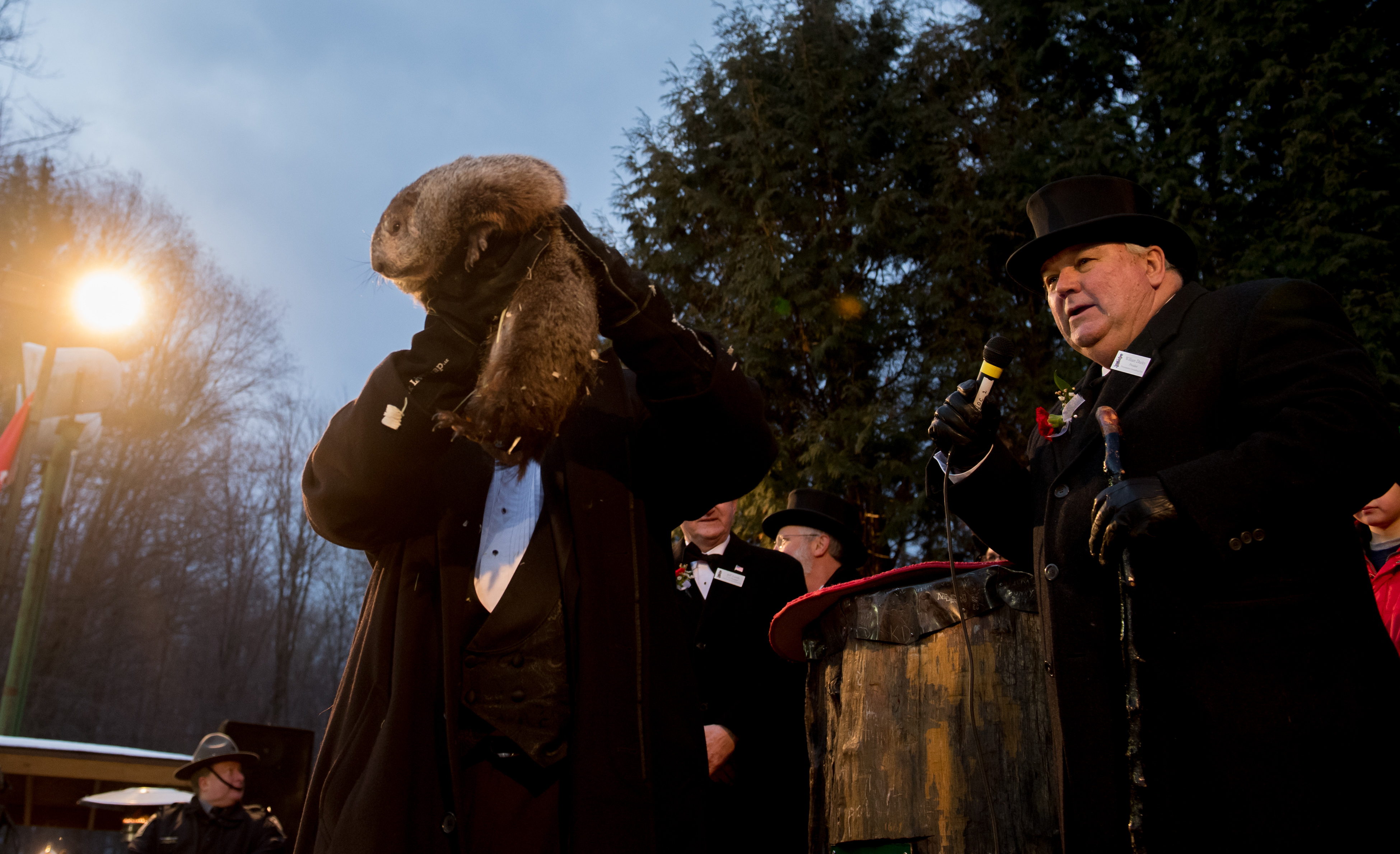 Punxsutawney Phil on Groundhog Day