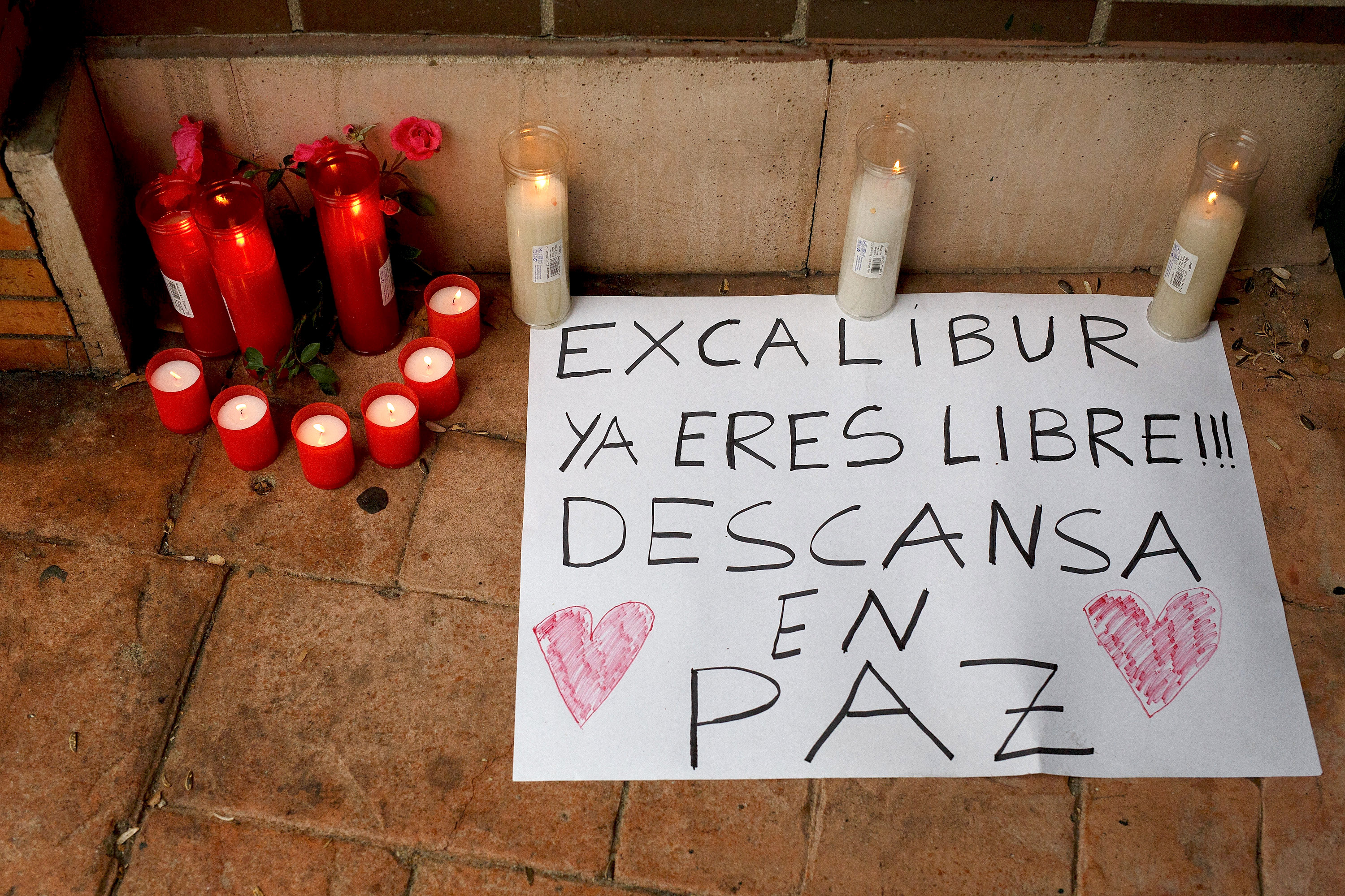 Spanish Nurse Tests Positive For Ebola