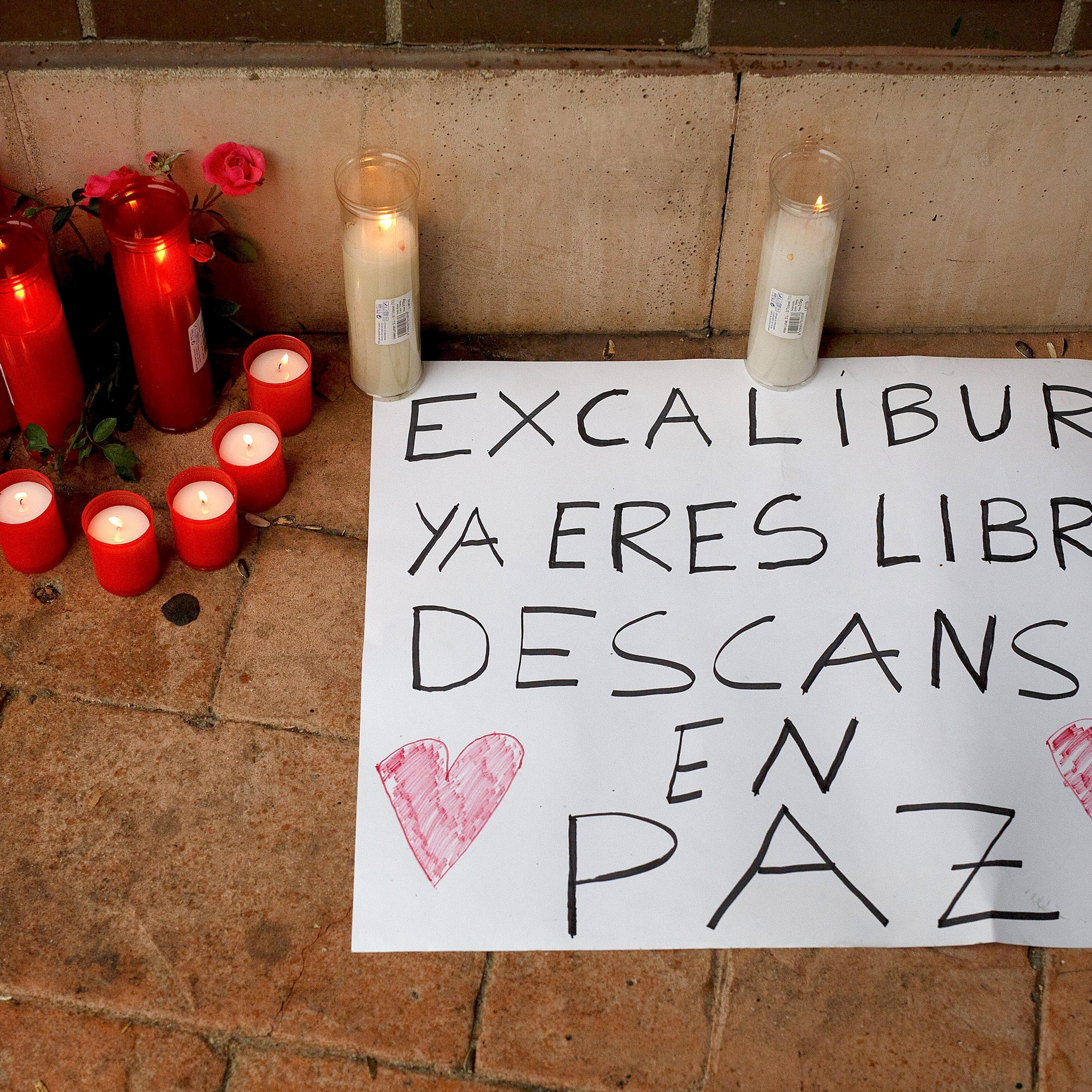 Spanish Nurse Tests Positive For Ebola