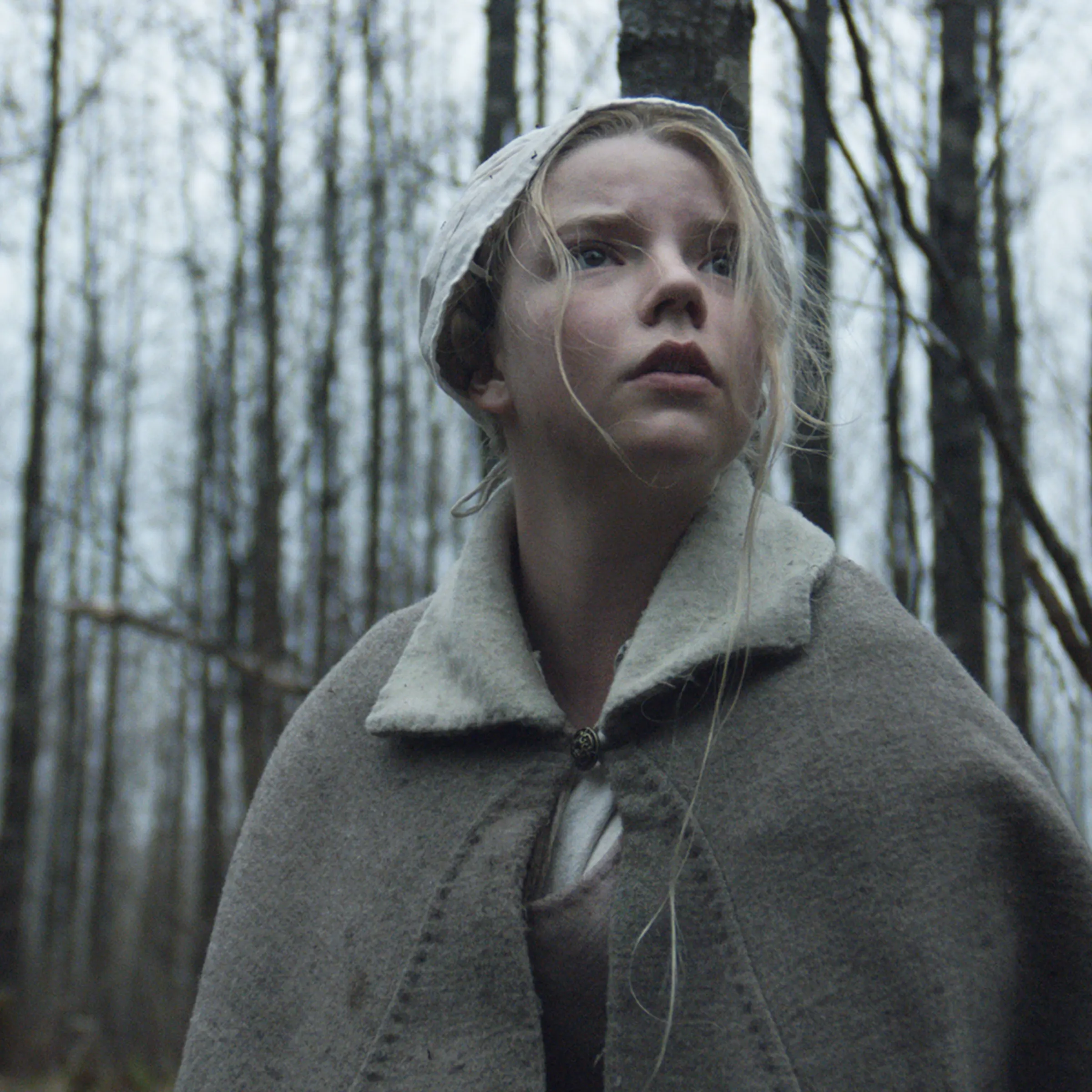 Anya Taylor-Joy in The Witch.