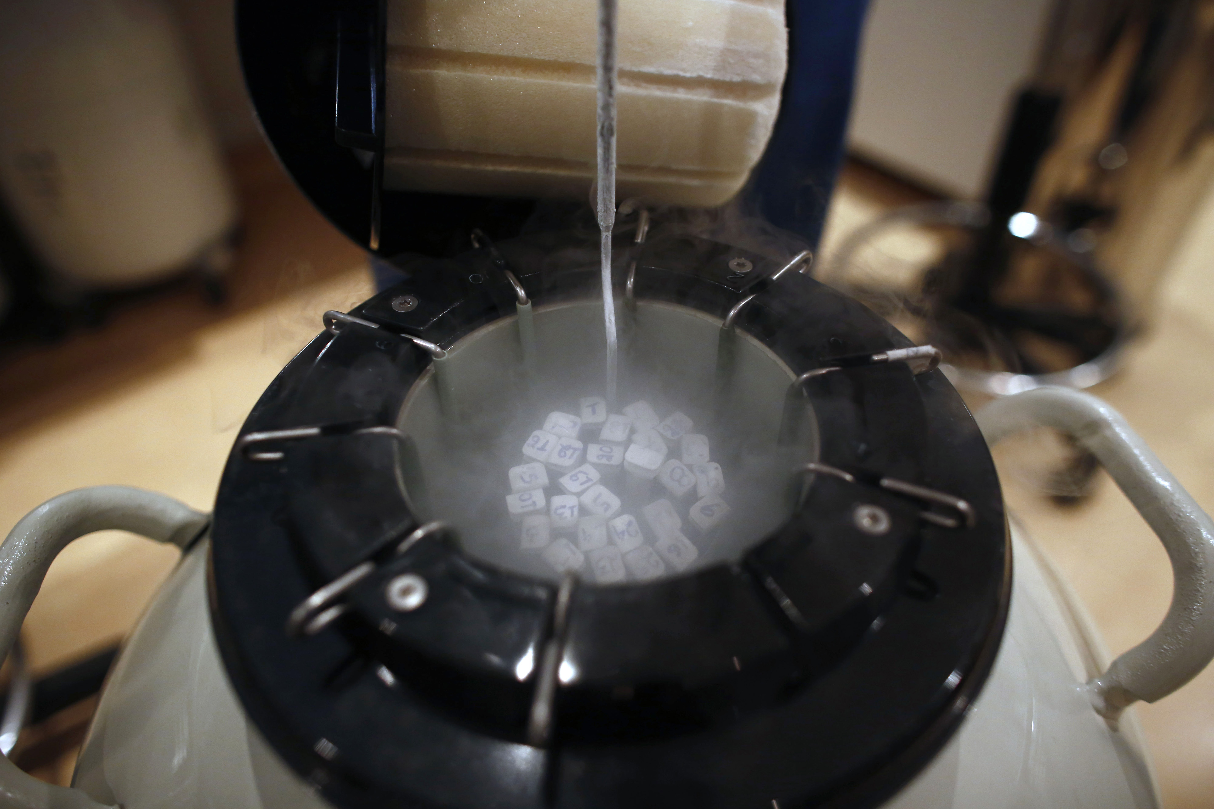 freezing human eggs