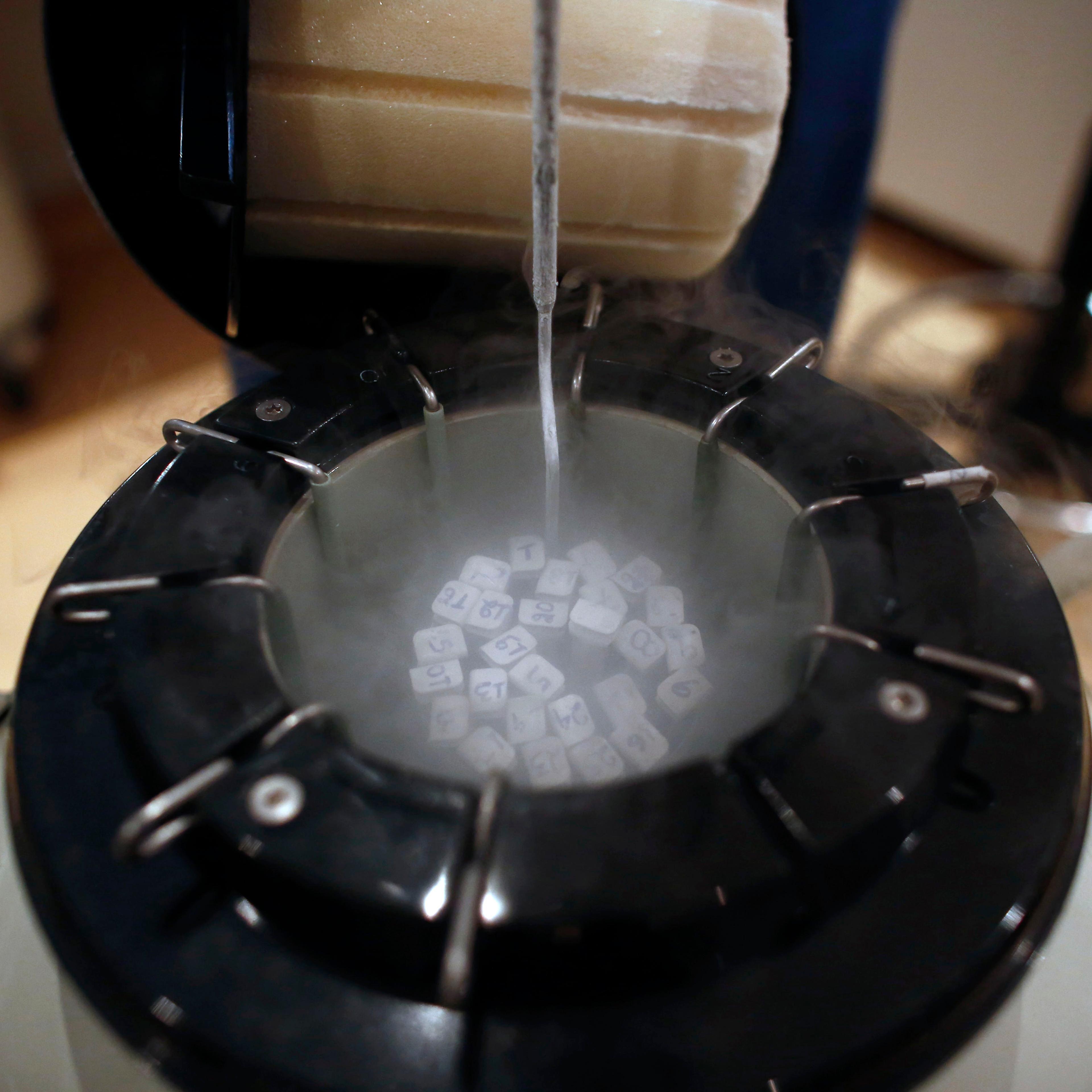 freezing human eggs