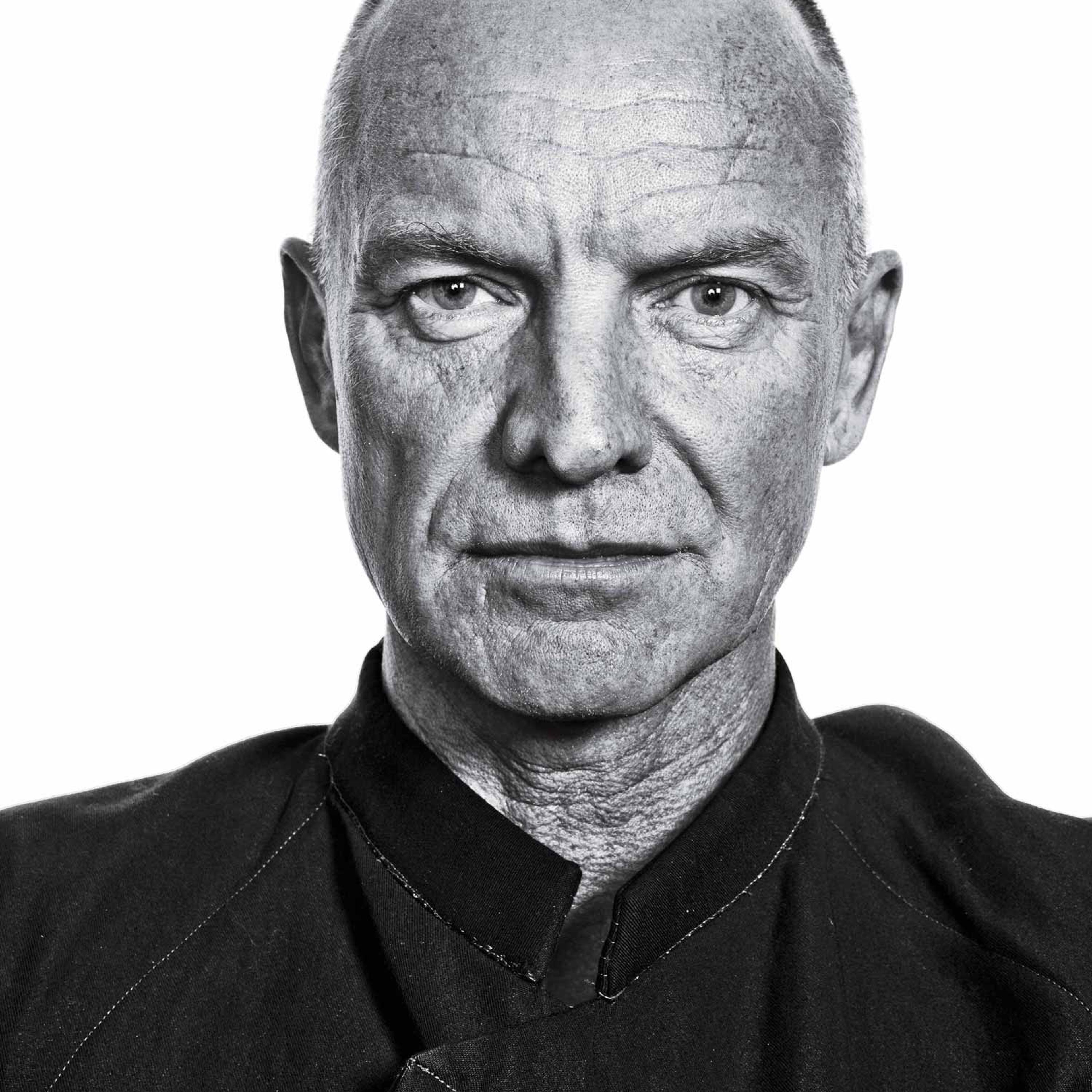 Sting Portrait by David Johnson