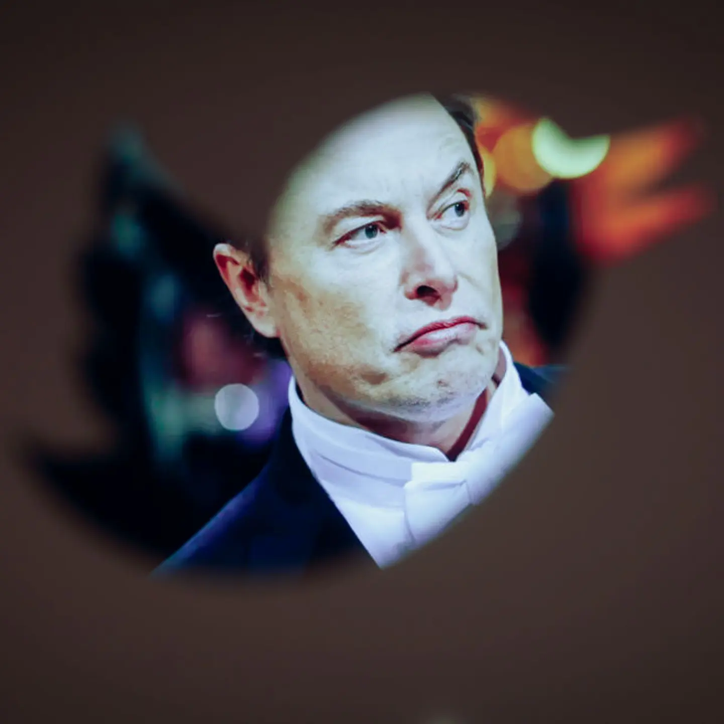 Elon Musk Is Delays Paid Verification To Avoid Apple Store 30 Percent Cut