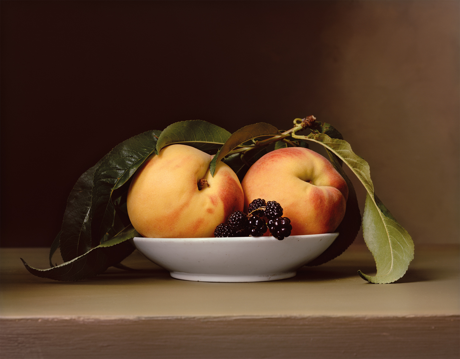 Plate 14 - Peaches and Blackberries