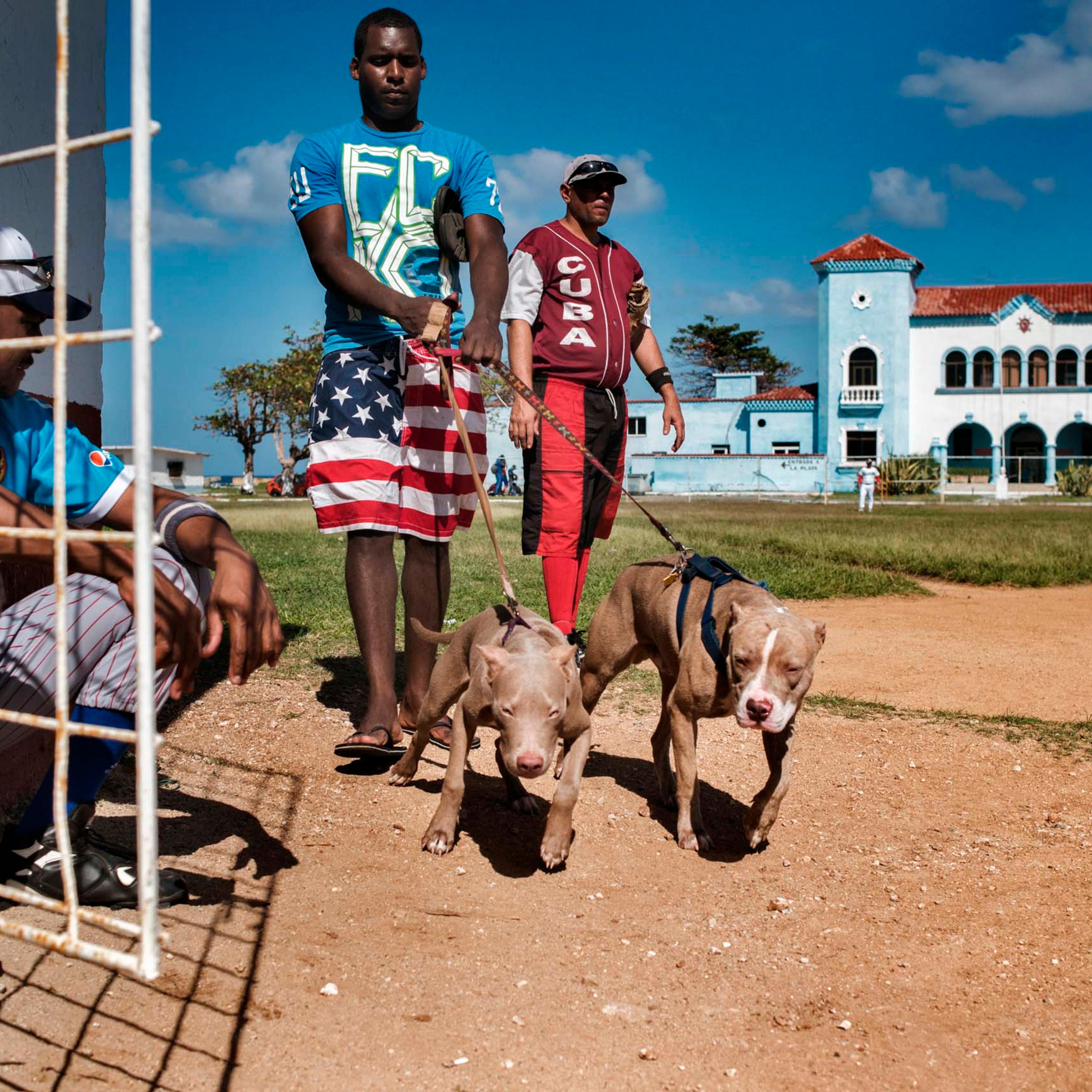 January, 2015. A young Cuban, wearing shorts decorated with the American flag, walks his dogs past a softball field in the Jaimanitas neighborhood of Havana.