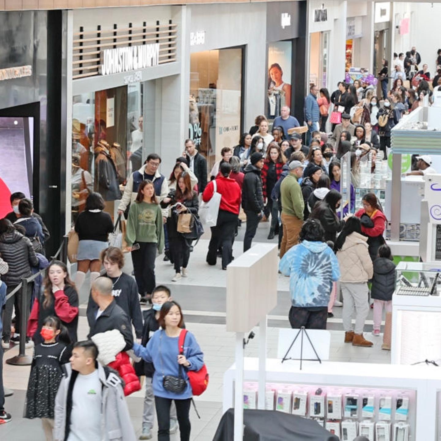 Shoppers fill Long Island mall on Black Friday