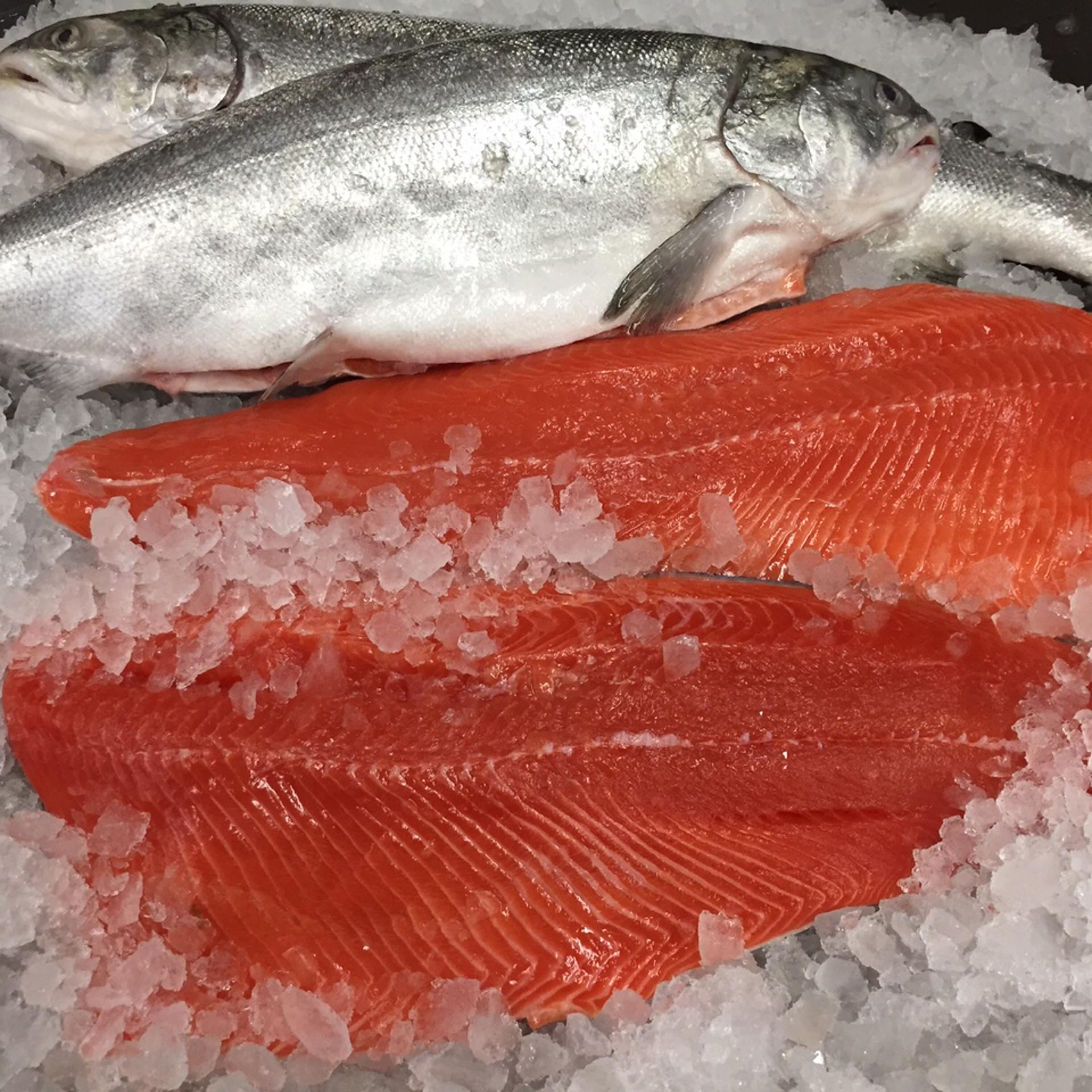 West Creek coho salmon grown with an algae based colorant