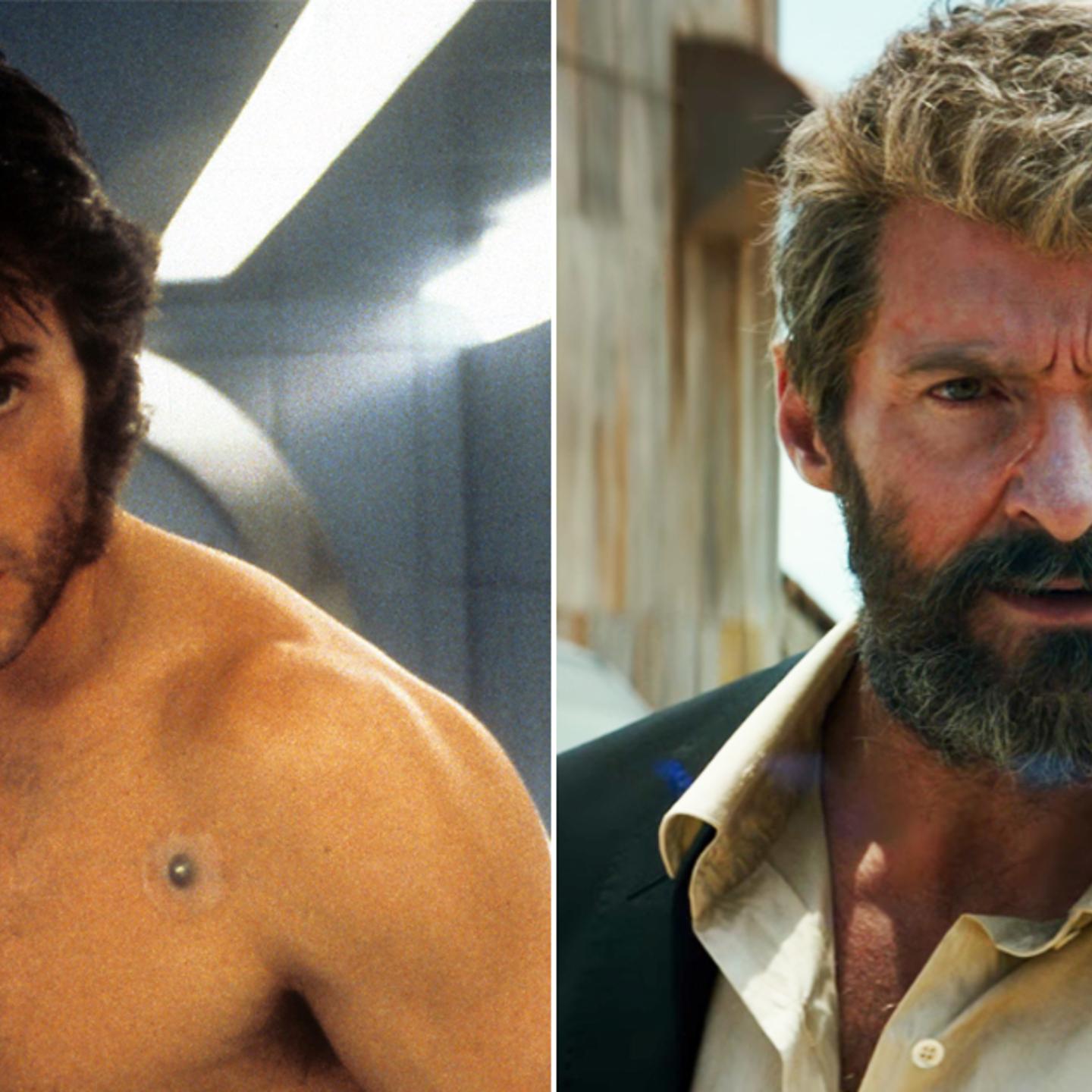 wolverine