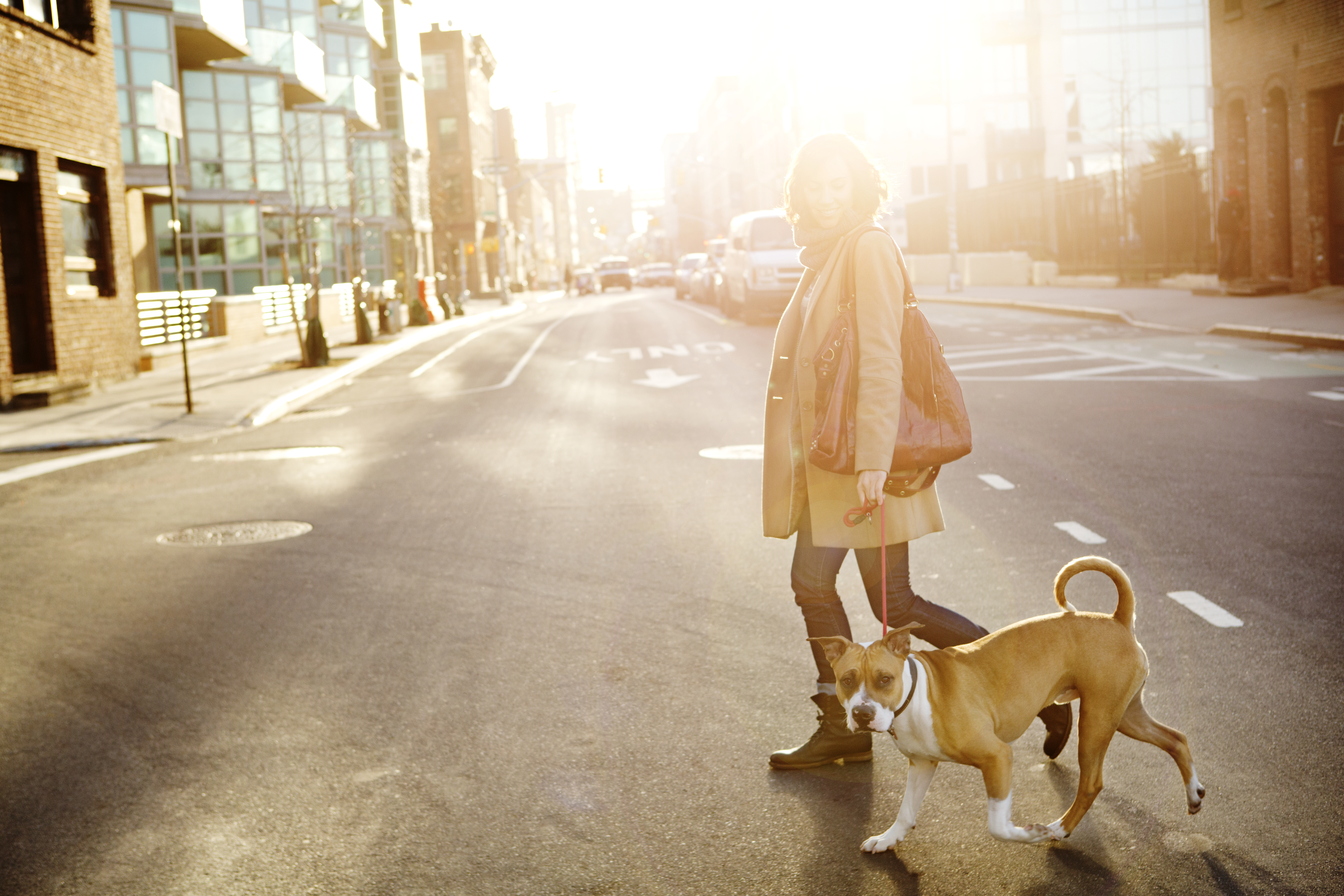 walking dog