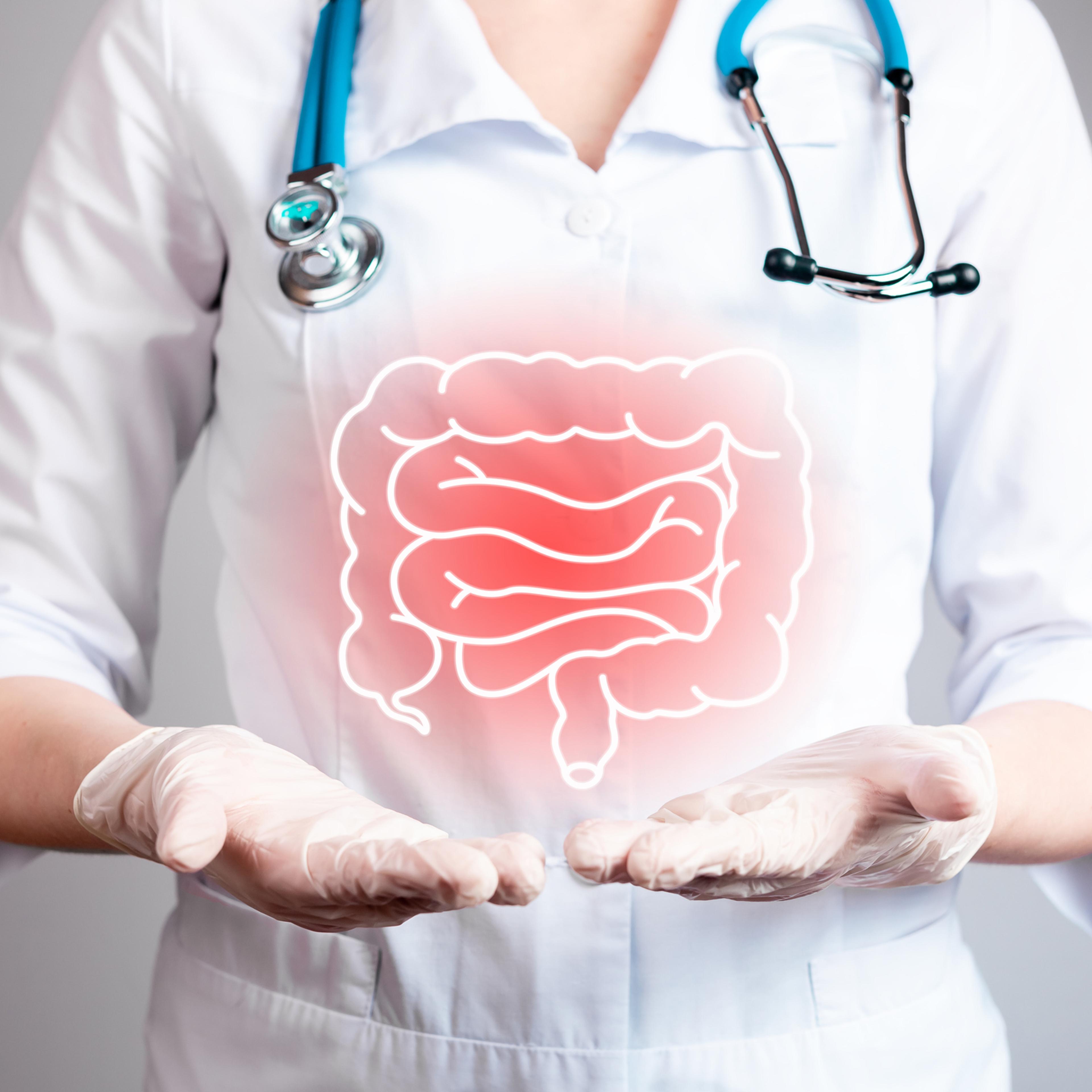 Intestine, bowel disease, medical problem. Gastrointestinal checkup concept