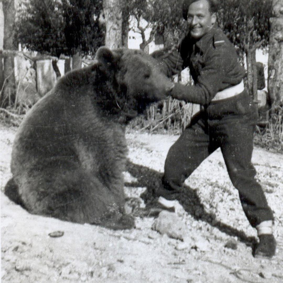 Dymitr Szawlugo, a Polish soldier who helped care for the bear, in Italy in late 1944 after the Battle of Monte Cassino.