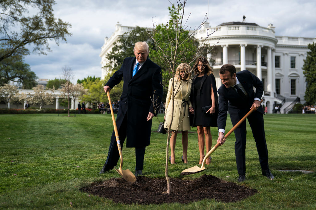 President Donald J. Trump