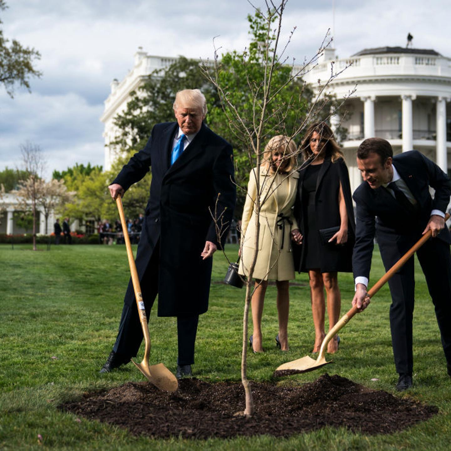 President Donald J. Trump