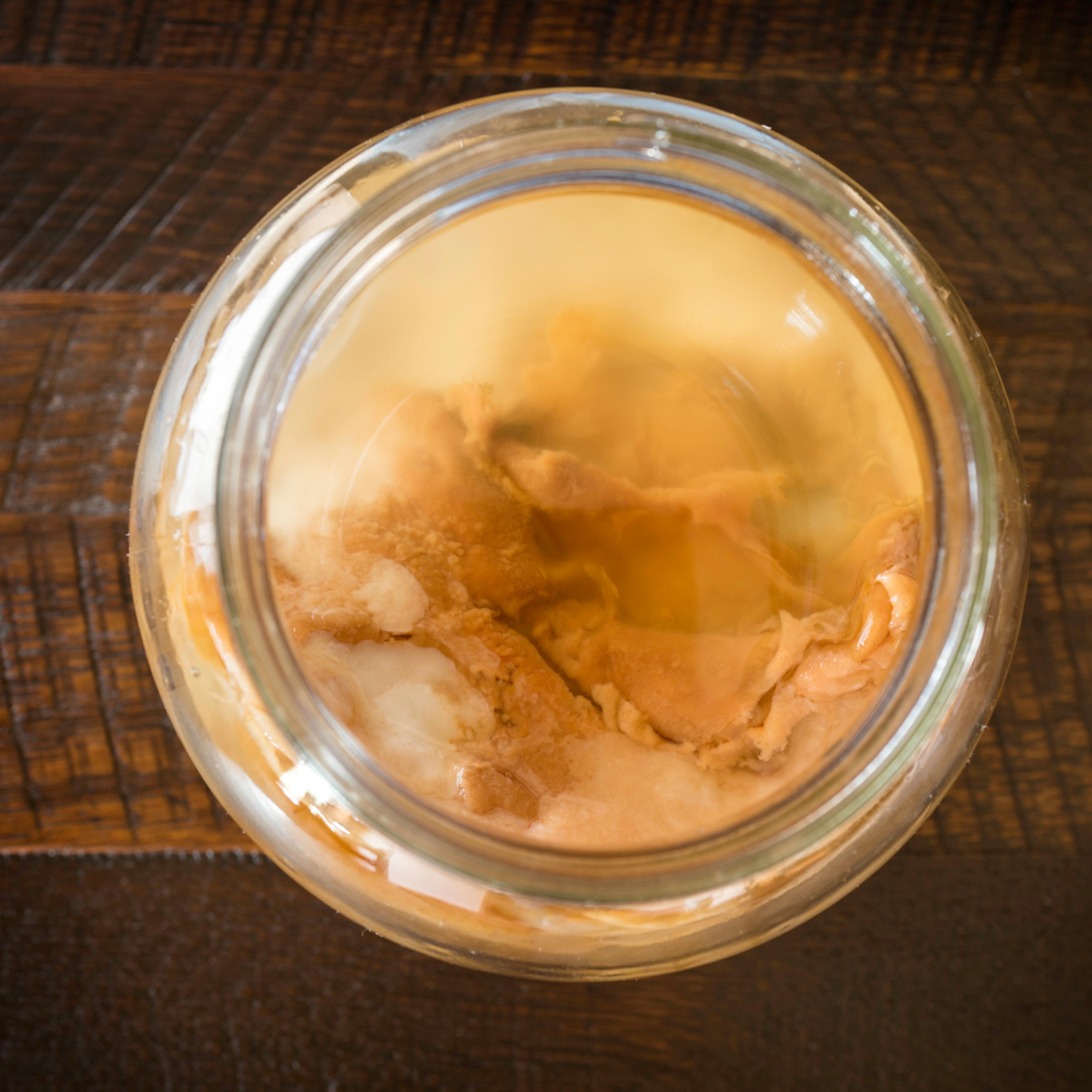 Kombucha-tea