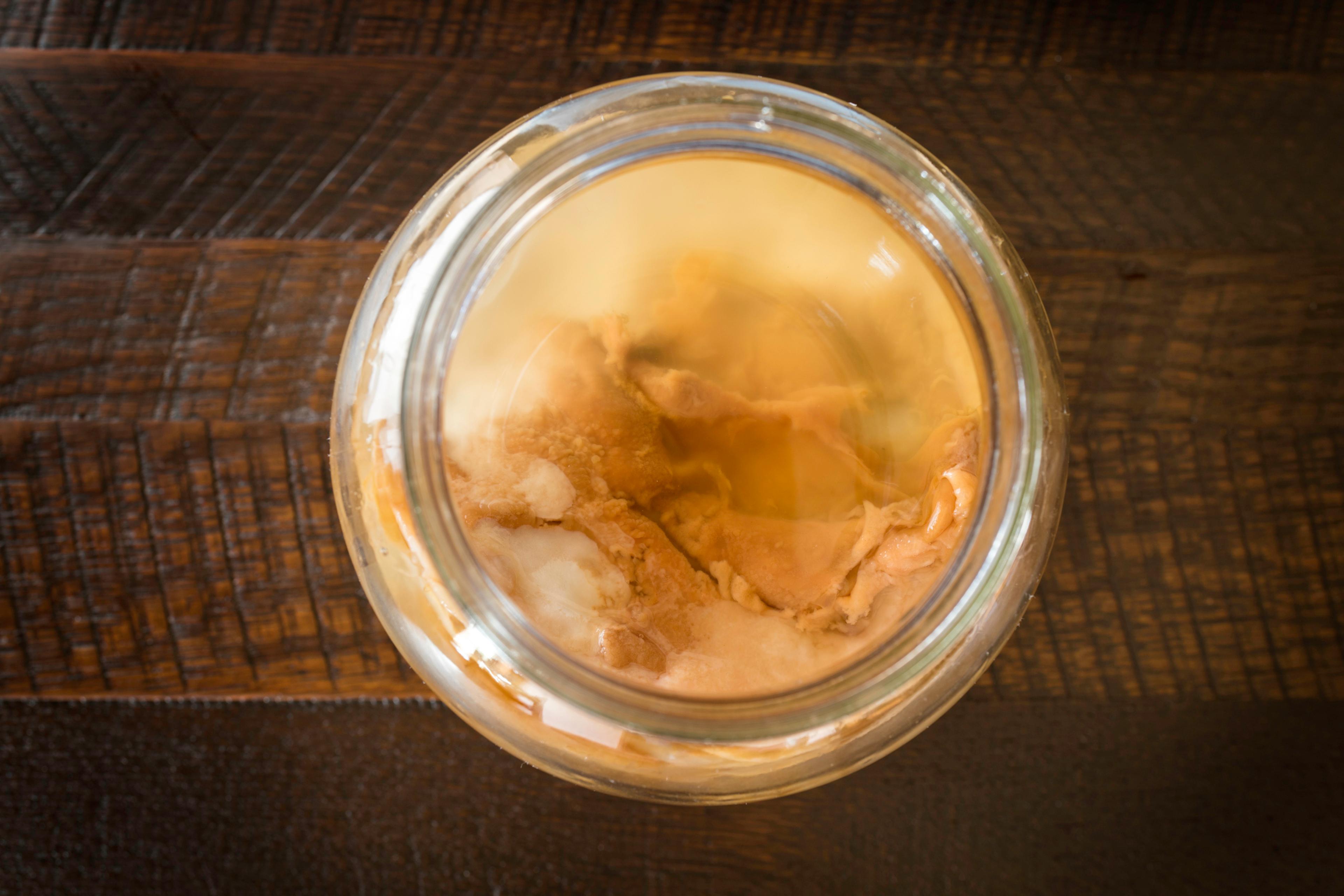 Kombucha-tea