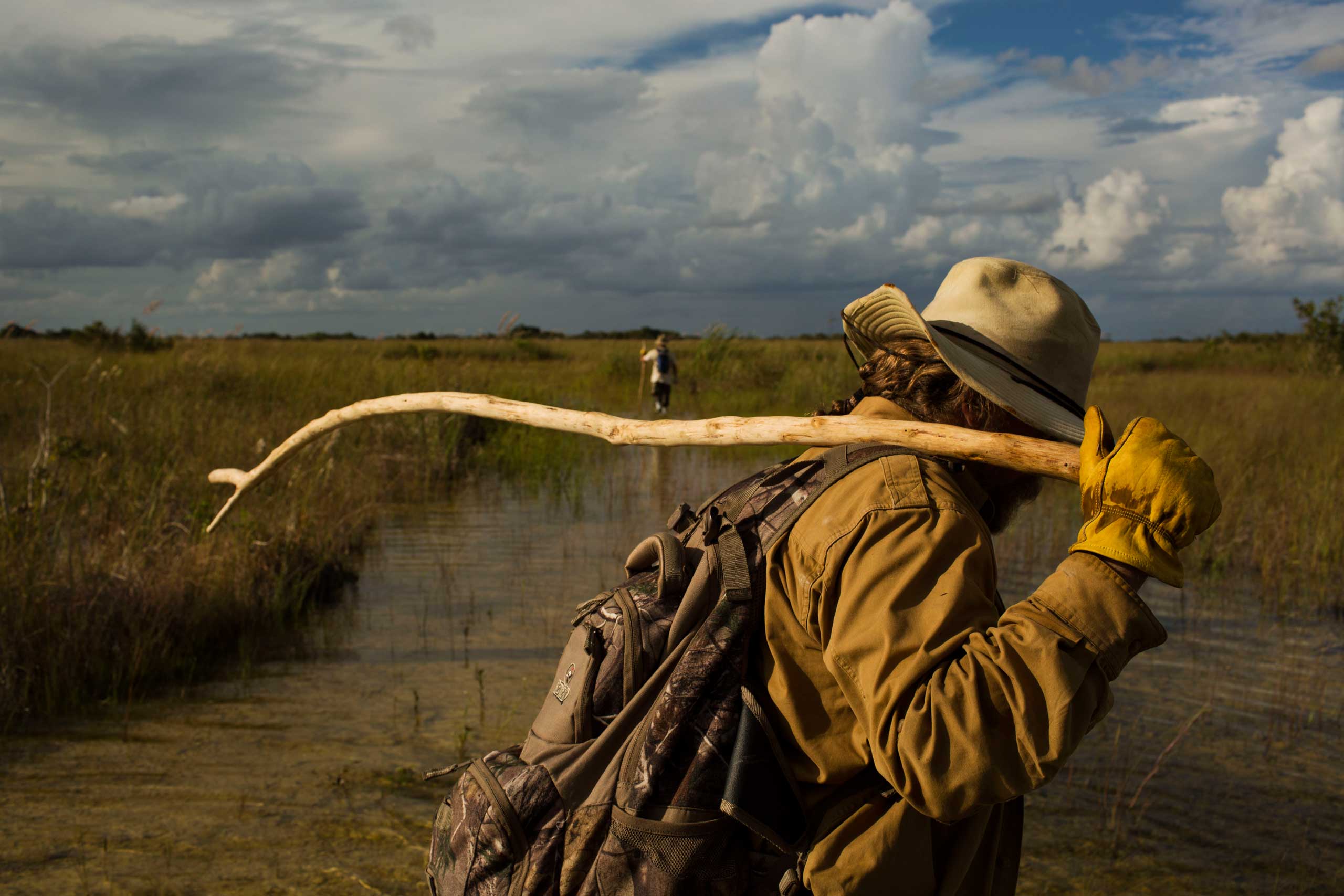 Burmese Pythons Are Taking Over the Everglades
