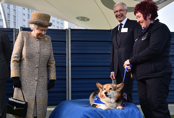BRITAIN-ROYALS-ANIMALS