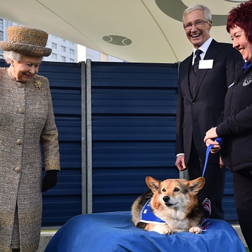 BRITAIN-ROYALS-ANIMALS