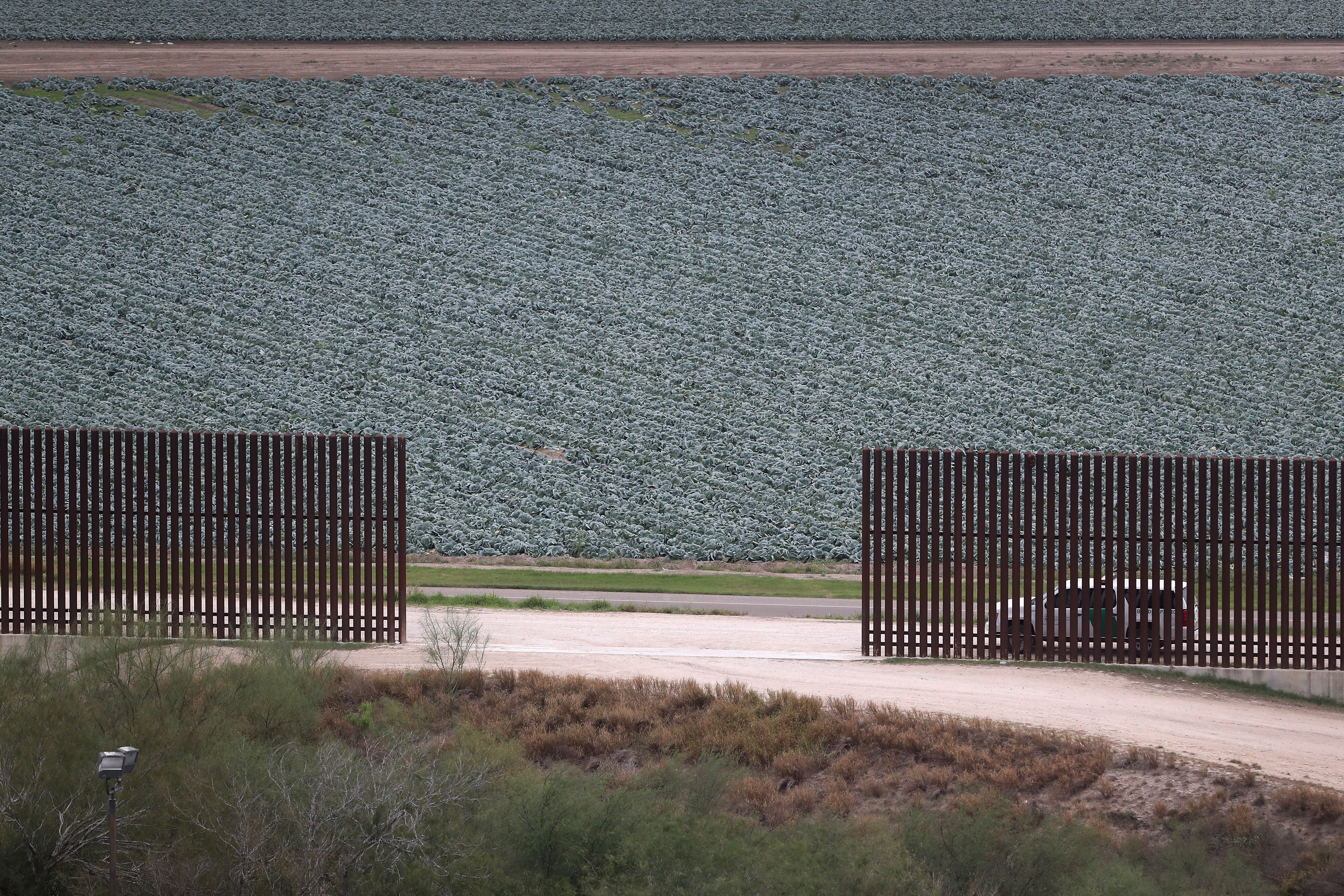 Immigrants Surge Across Border Ahead Of Trump Inauguration