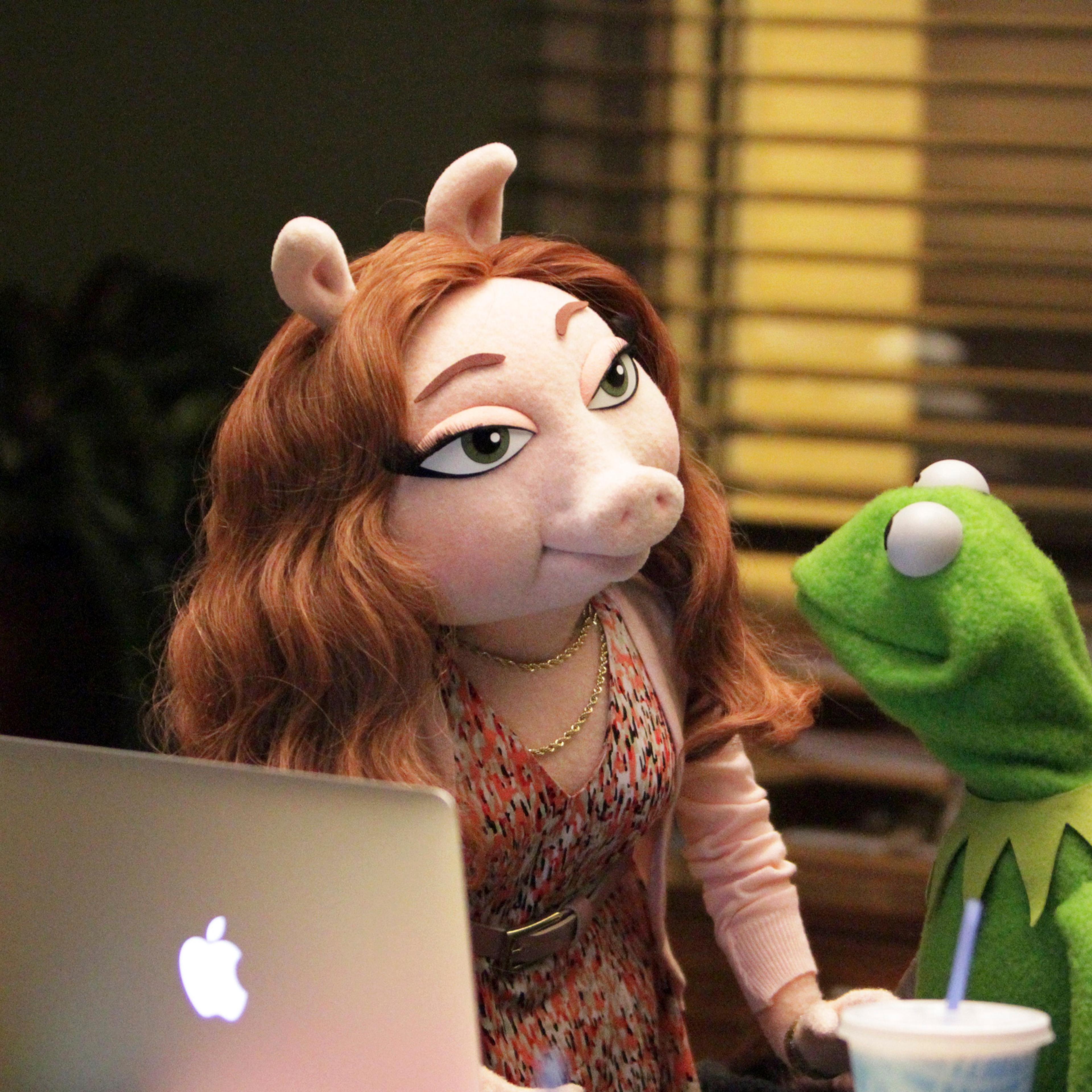 kermit frog denise pig muppets