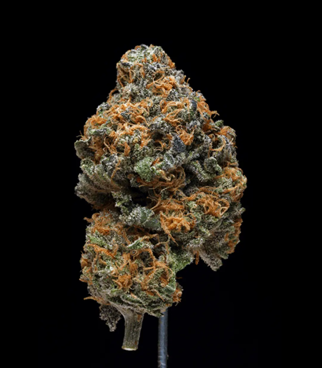 Grape Ape