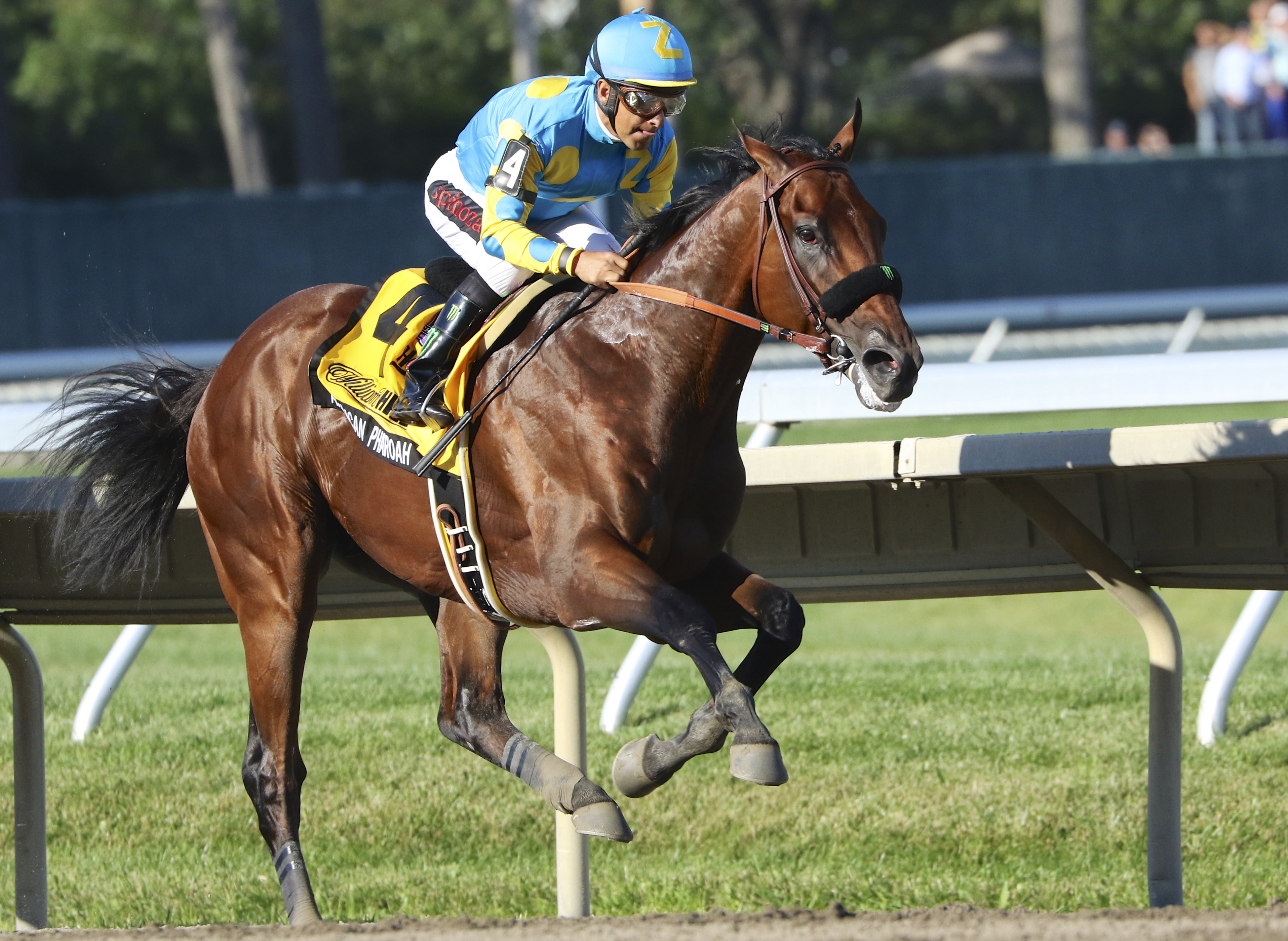 American Pharoah Wins Haskell Invitational