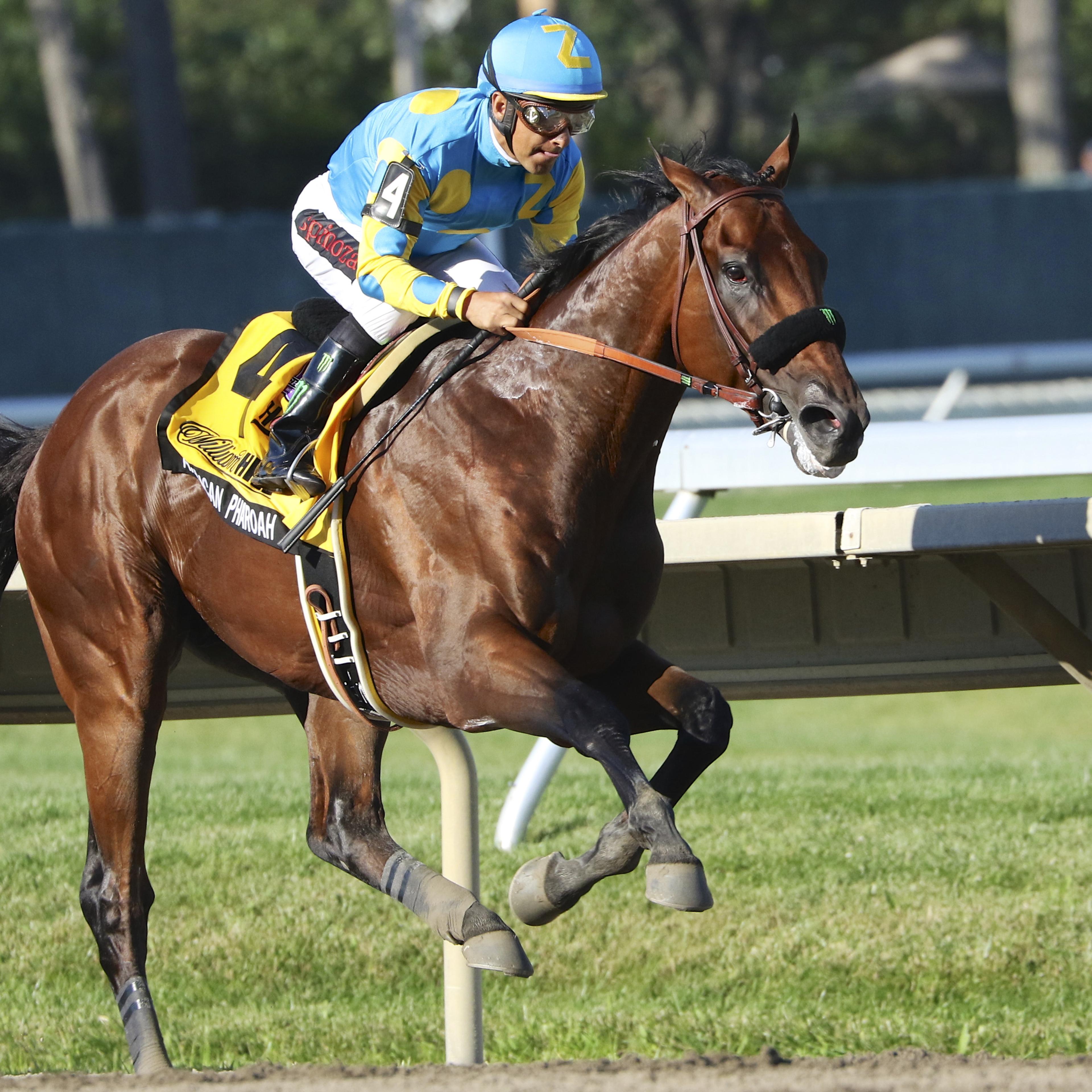 American Pharoah Wins Haskell Invitational