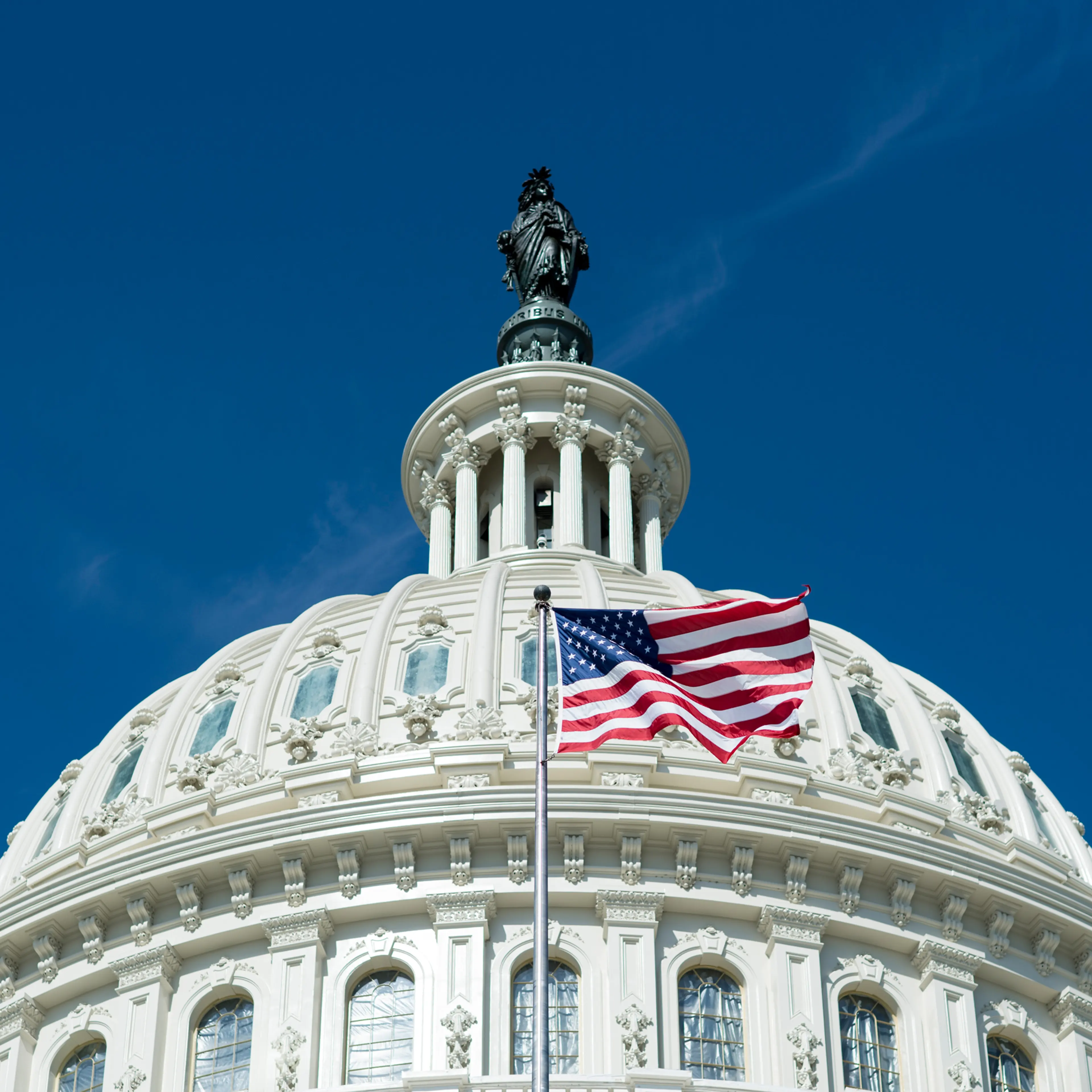 U.S. Capitol Dome