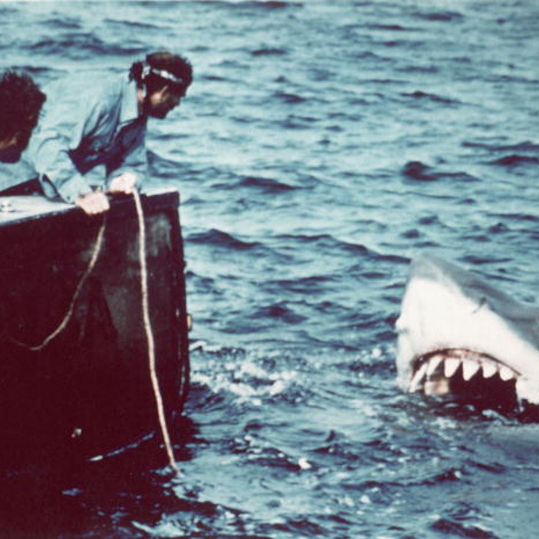 Richard Dreyfuss (left) (as marine biologist Hooper) and Robert Shaw (as shark fisherman Quint) look off the stern of Quint's fishing boat the 'Orca' at the terrifying approach of the mechanical giant shark dubbed 'Bruce' in a scene from the film 'Jaws.'