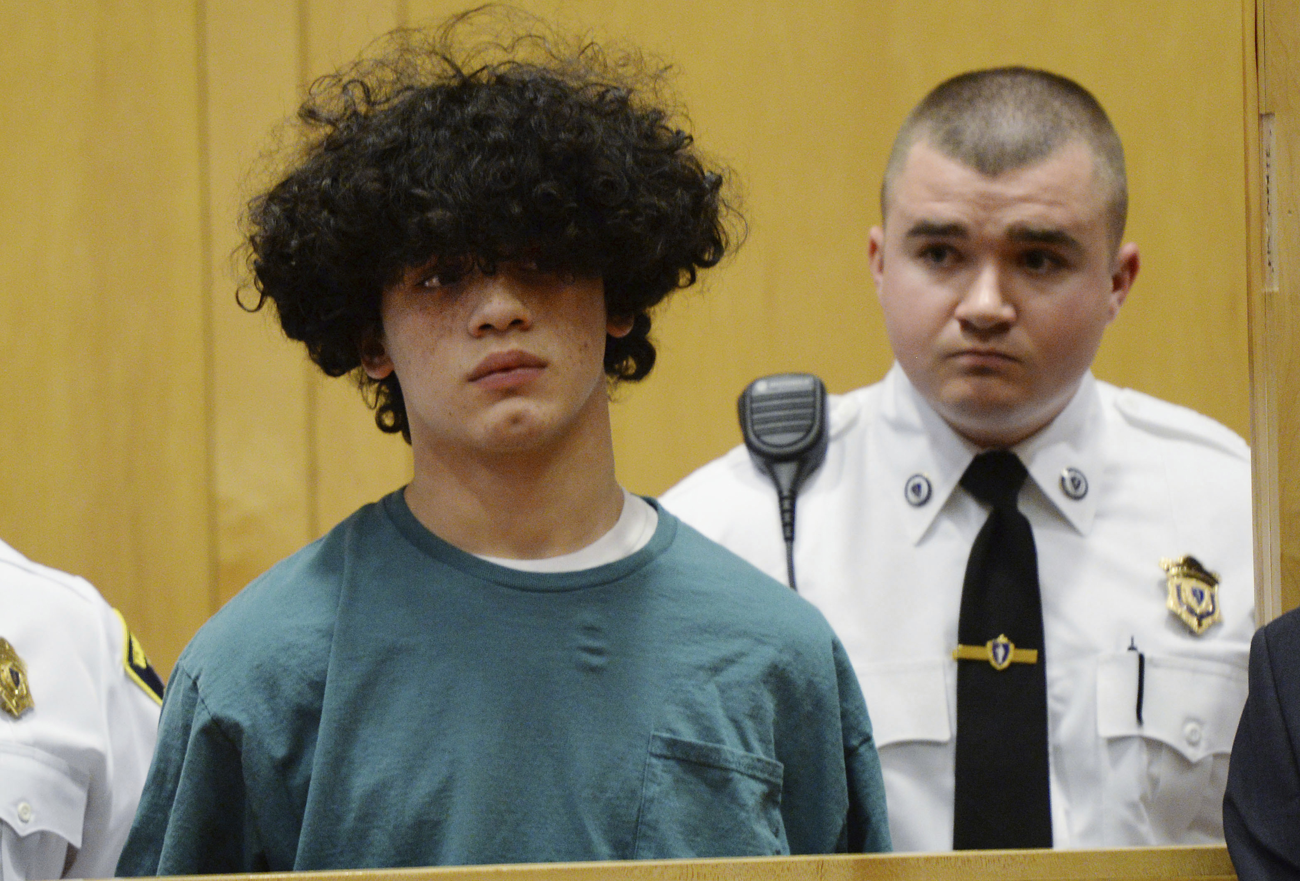 Decapitated Body Juvenile Arrested