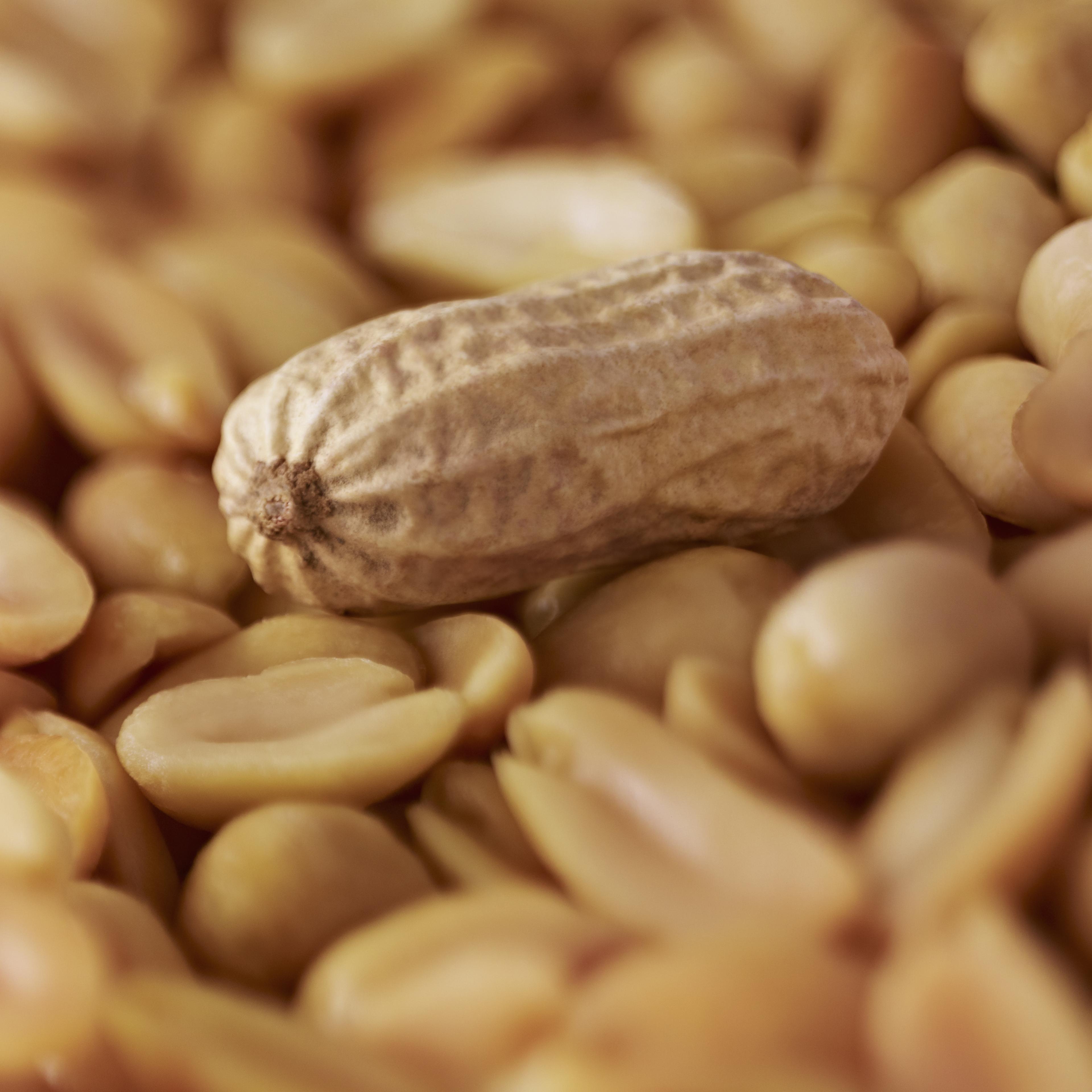 Extreme close up of peanuts