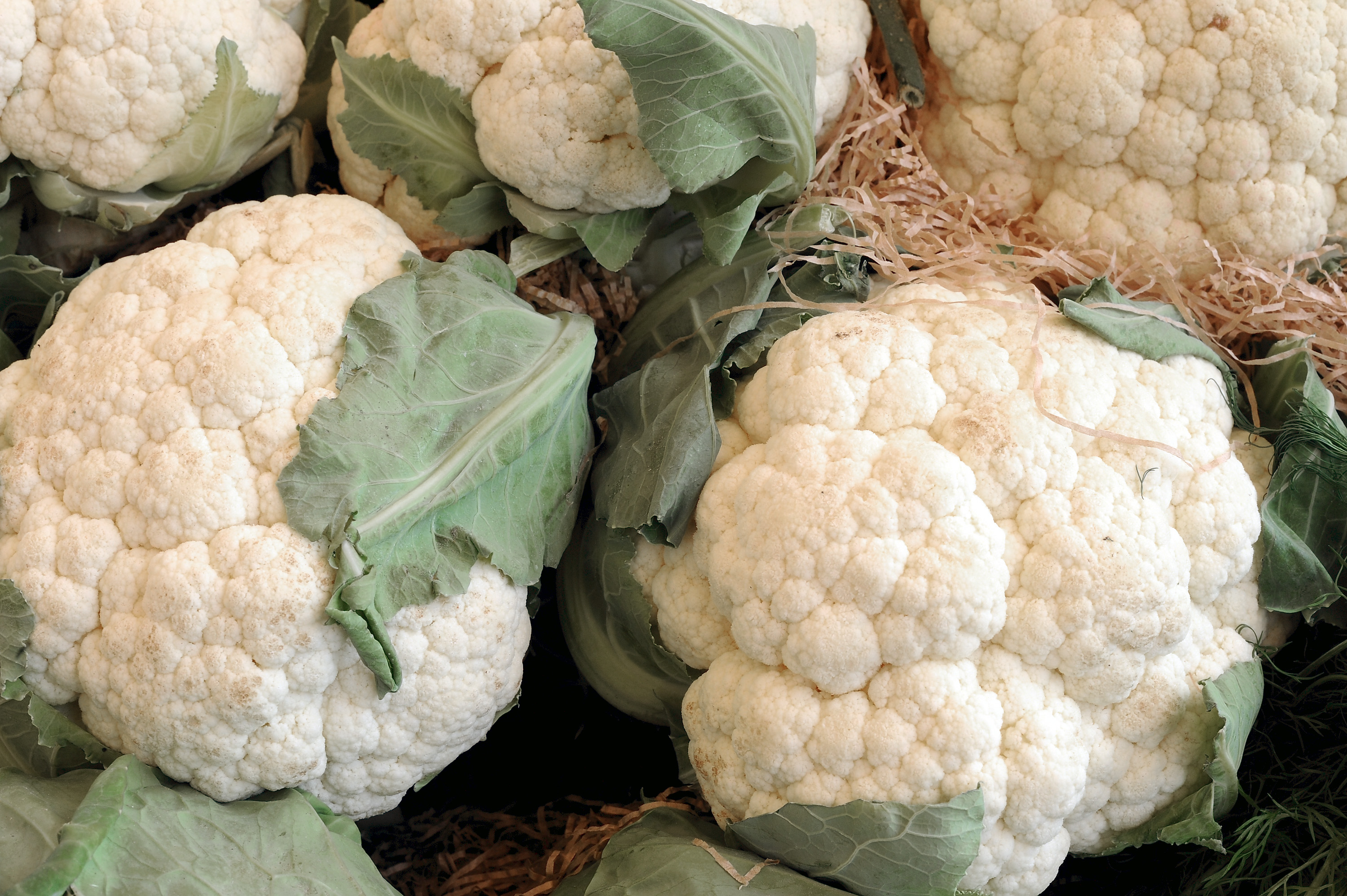 Some white cauliflower are displayed during the Expo 2015 at Fiera Milano Rho on May 29, 2015 in Milan, Italy.