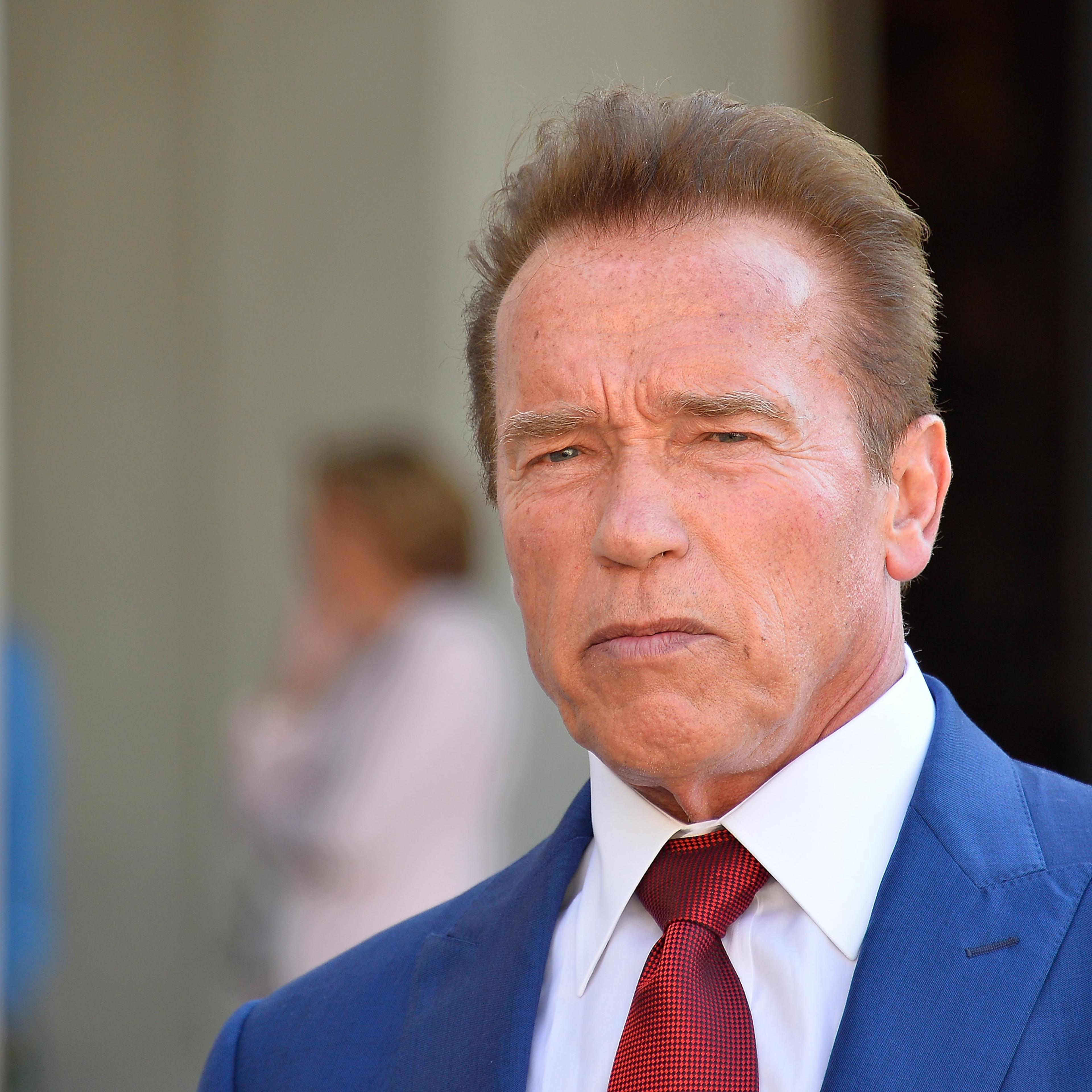 French President Emmanuel Macron Receives Arnold Schwarzenegger At Elysee Palace