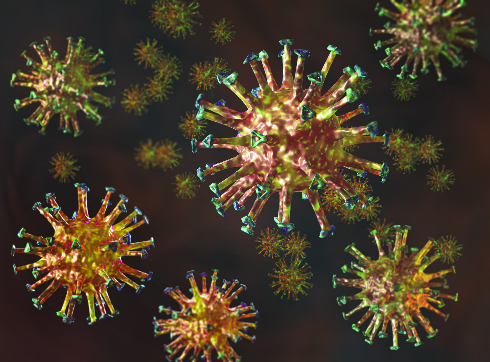 corona virus 1