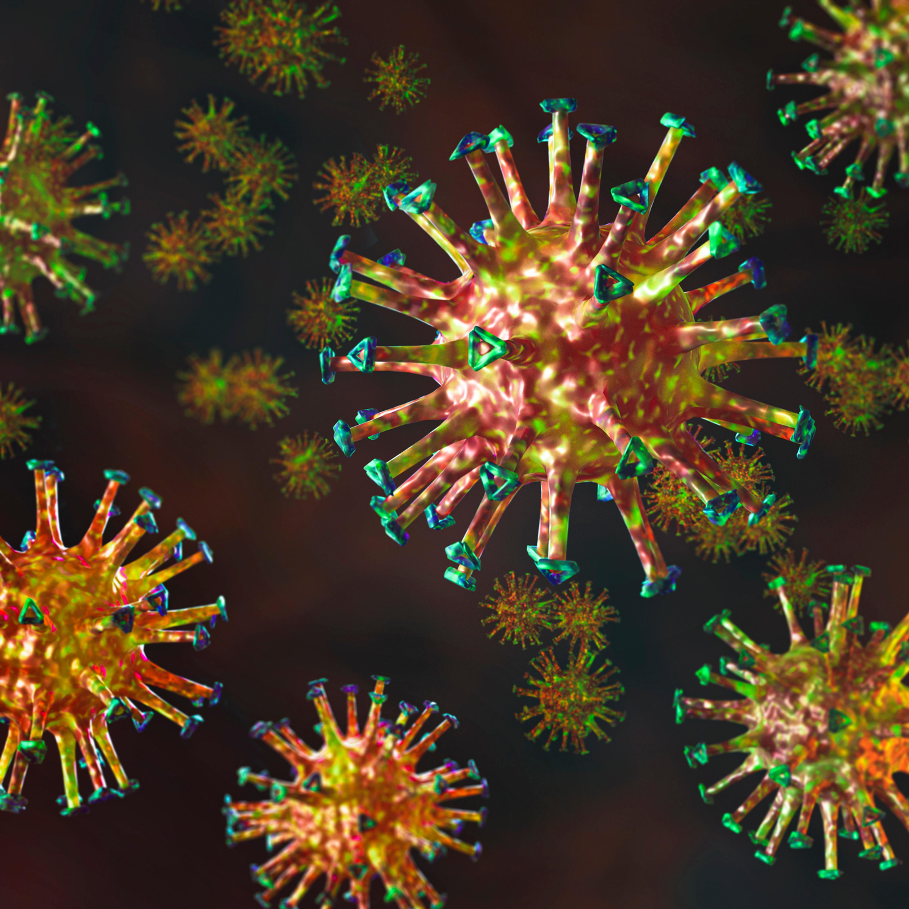 corona virus 1