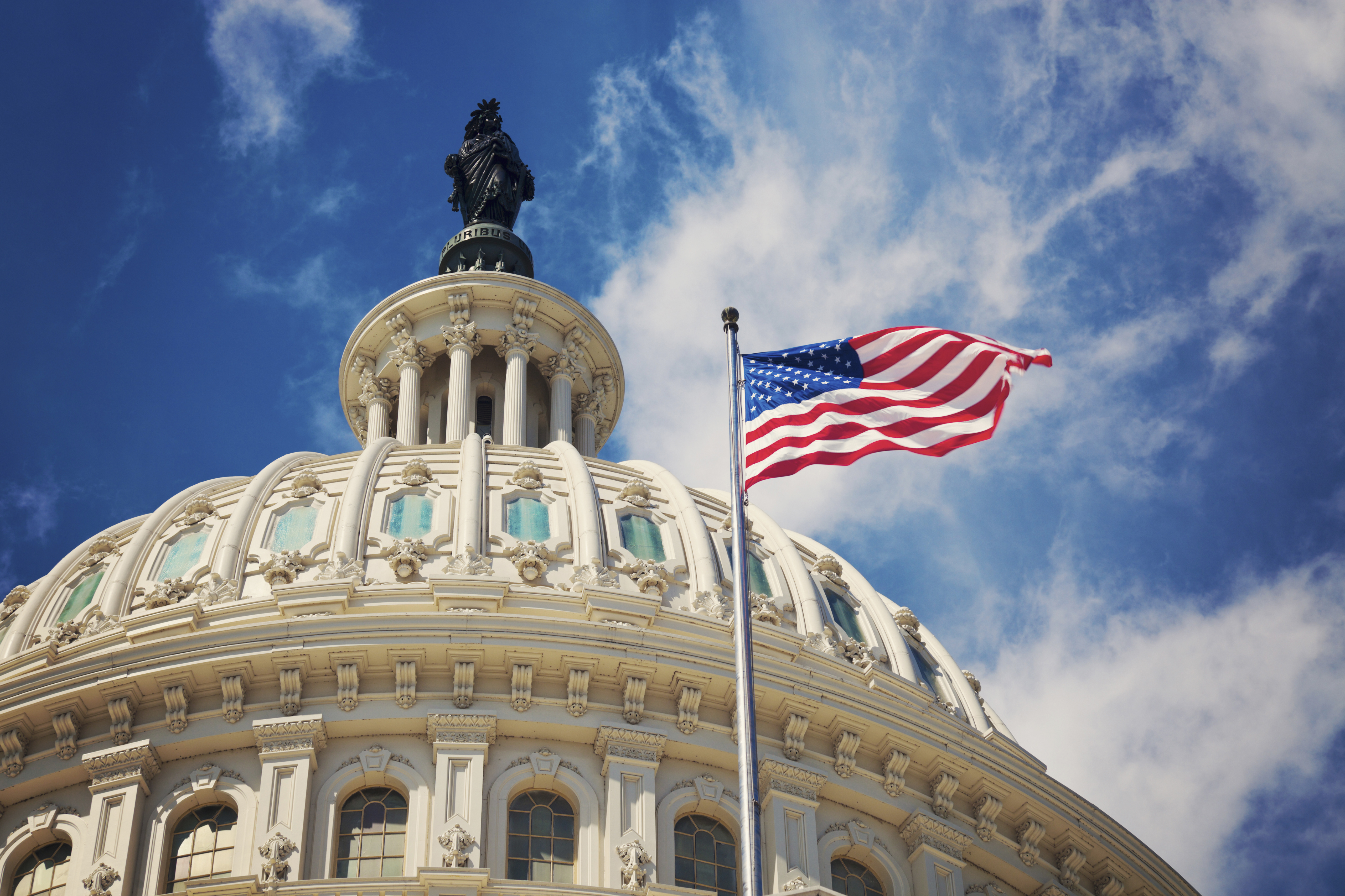 The Capitol Building in Washington, D.C.
