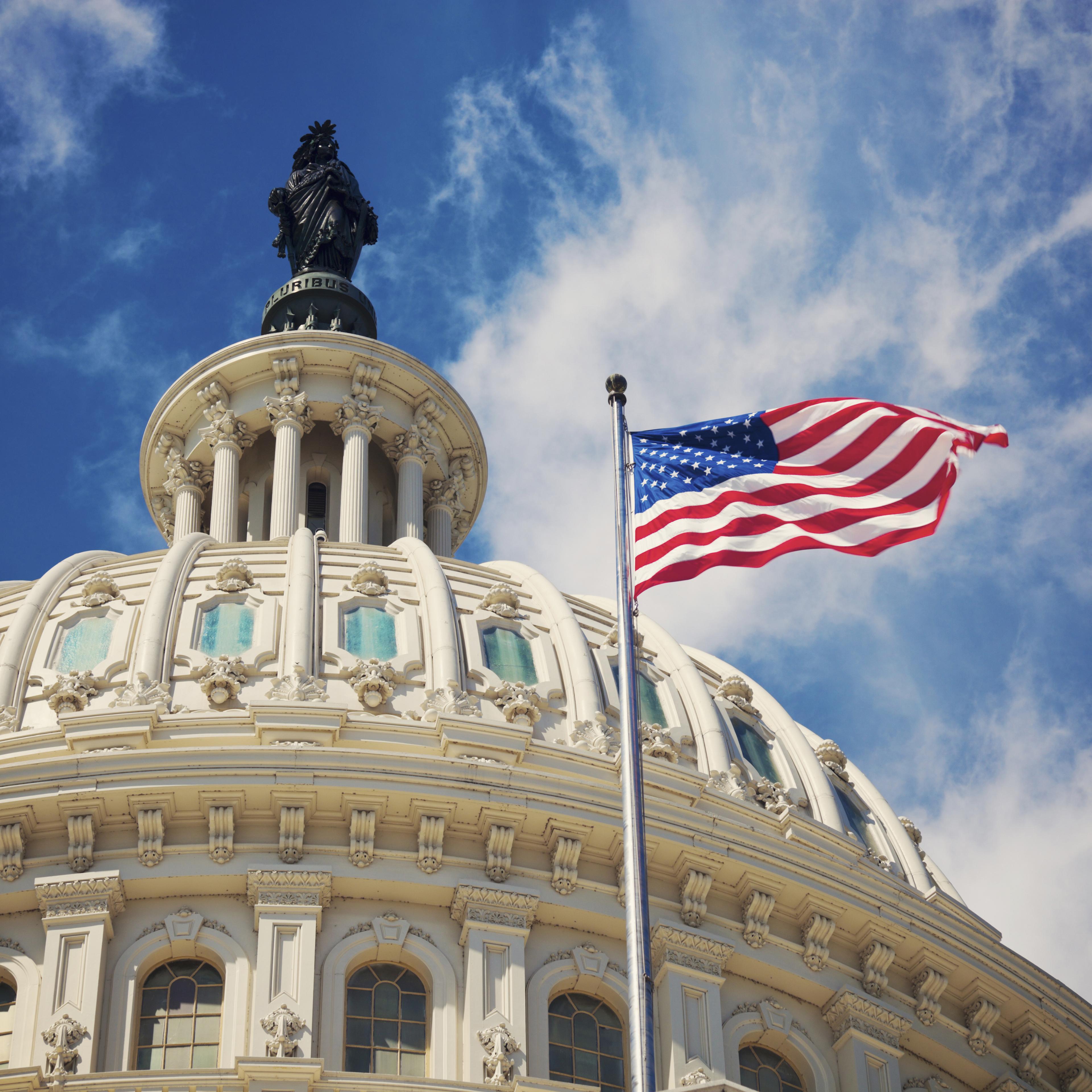 The Capitol Building in Washington, D.C.