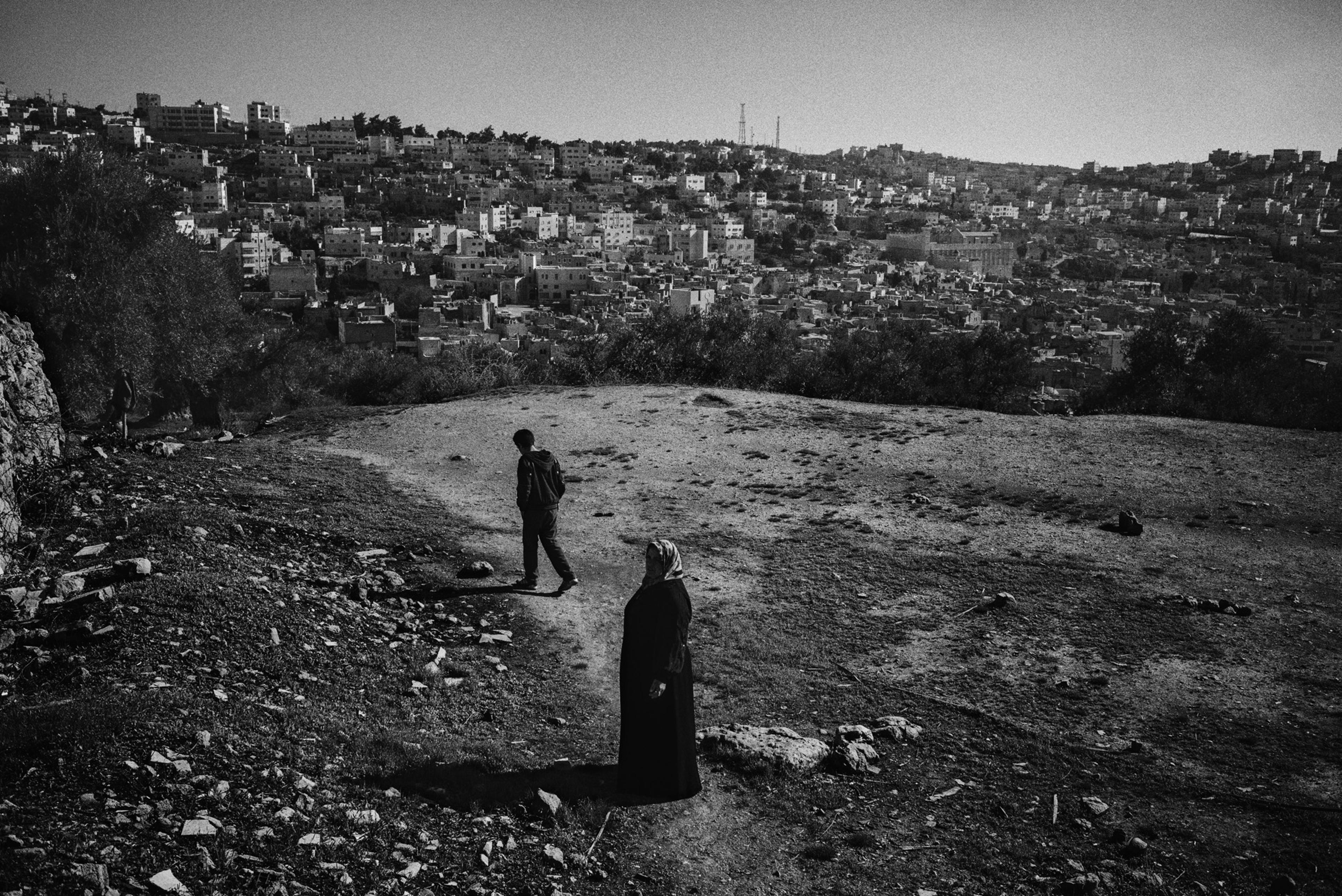 Fatima Quneibi and her son Yaseen take a break from olive picking in their field in the Tel Rumeida neighborhood of Hebron, November 2015. Reaching their olive trees became increasingly difficult and dangerous, requiring passage through a main checkpoint