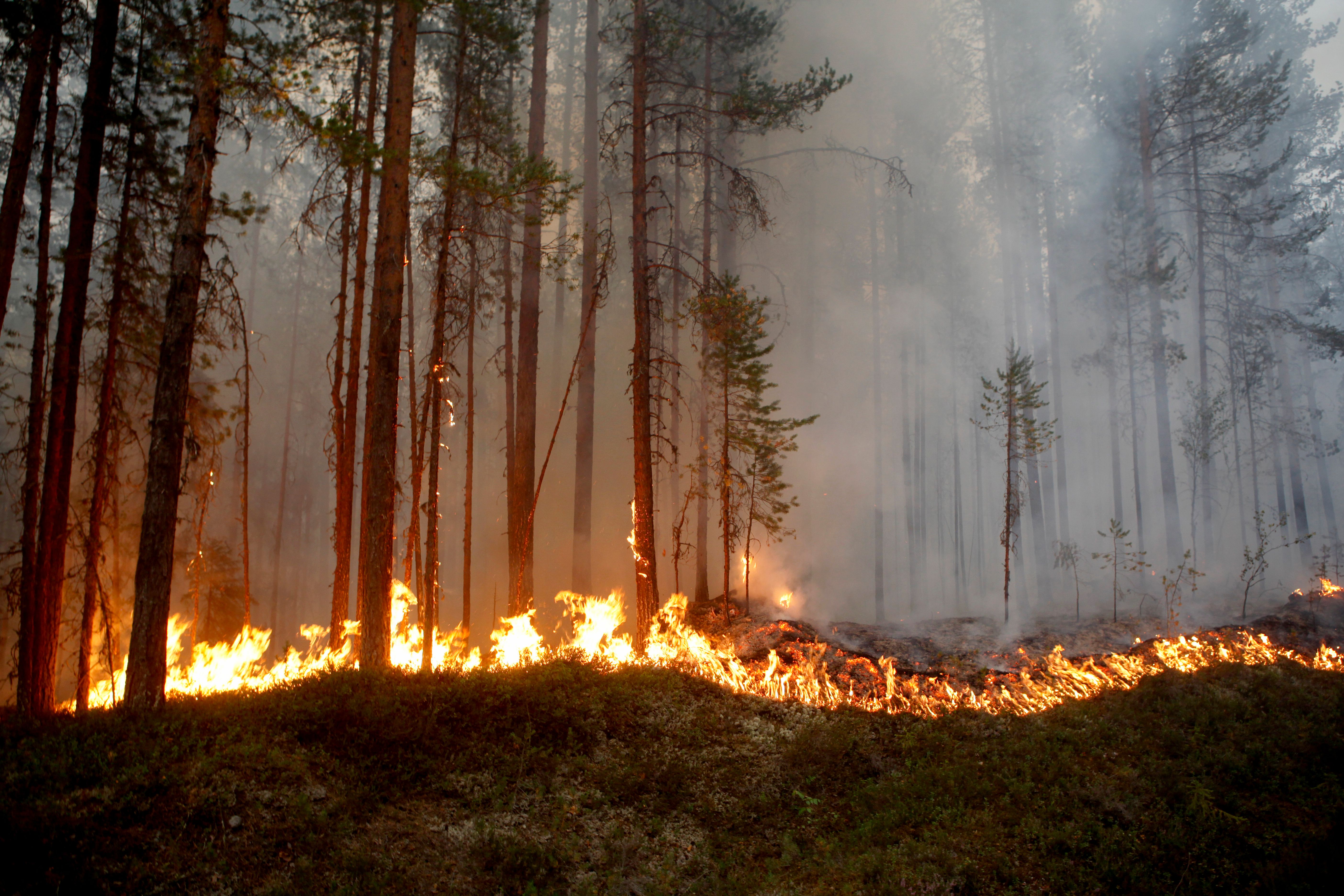 SWEDEN-WEATHER-FIRE-FOREST