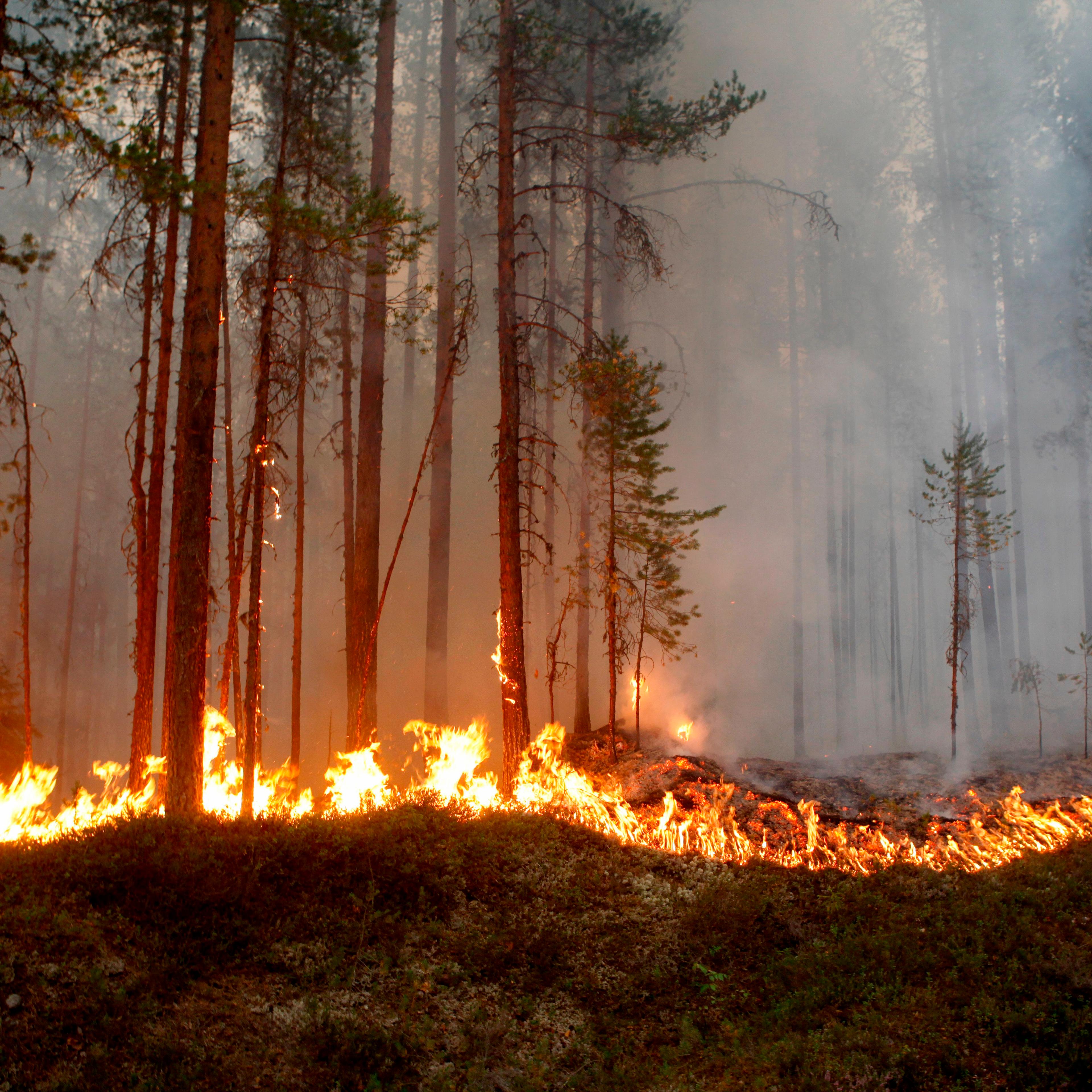 SWEDEN-WEATHER-FIRE-FOREST