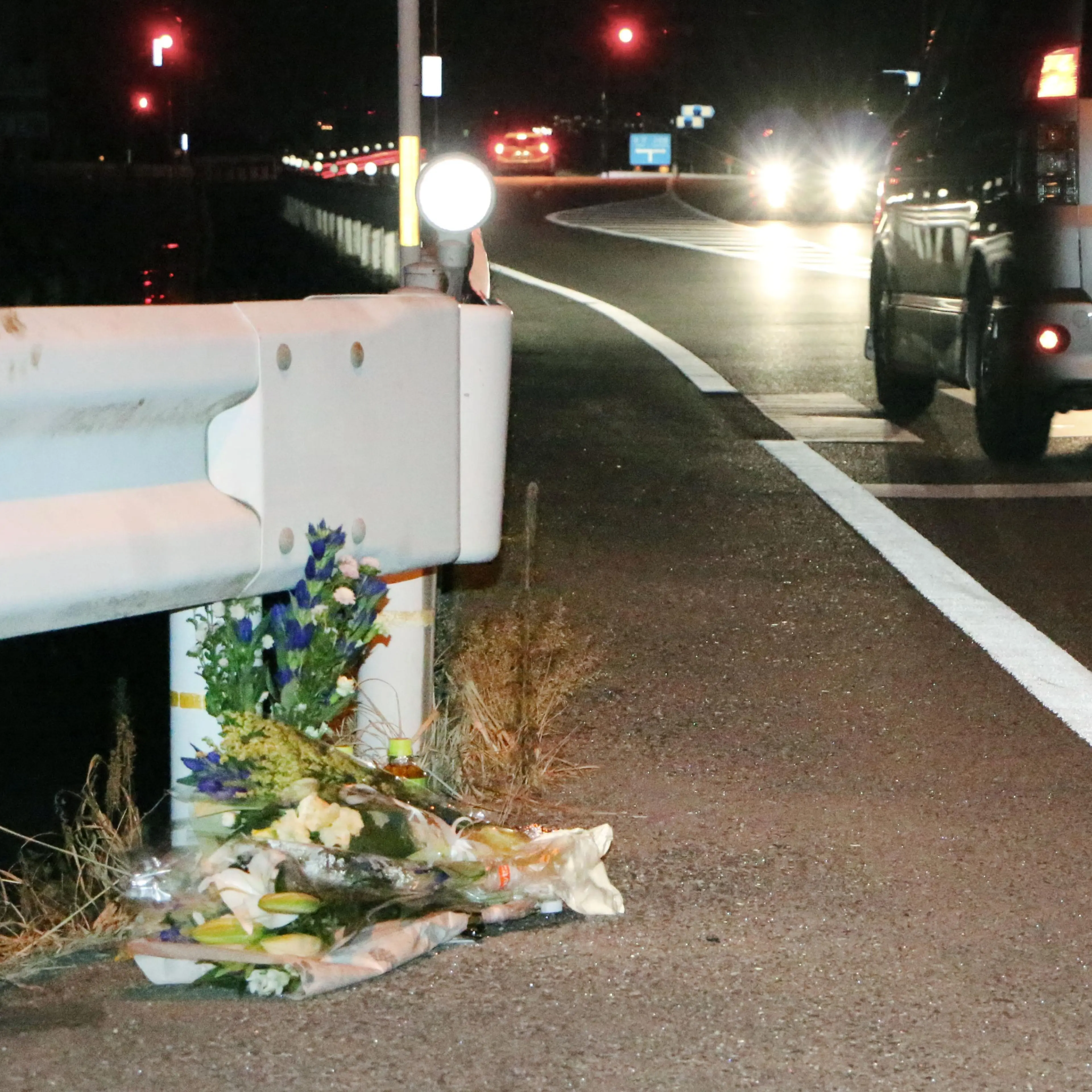 Japan sees 1st fatal car accident linked to playing "Pokemon Go"