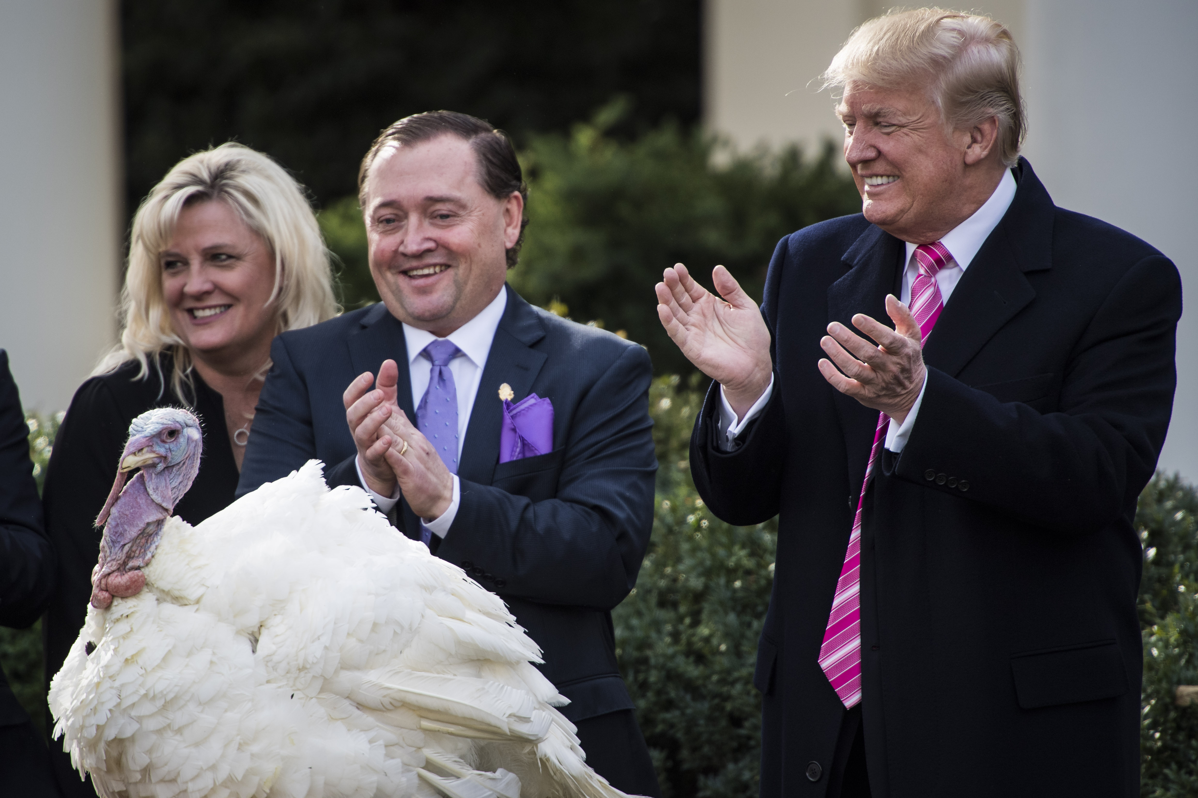 President Donald Trump