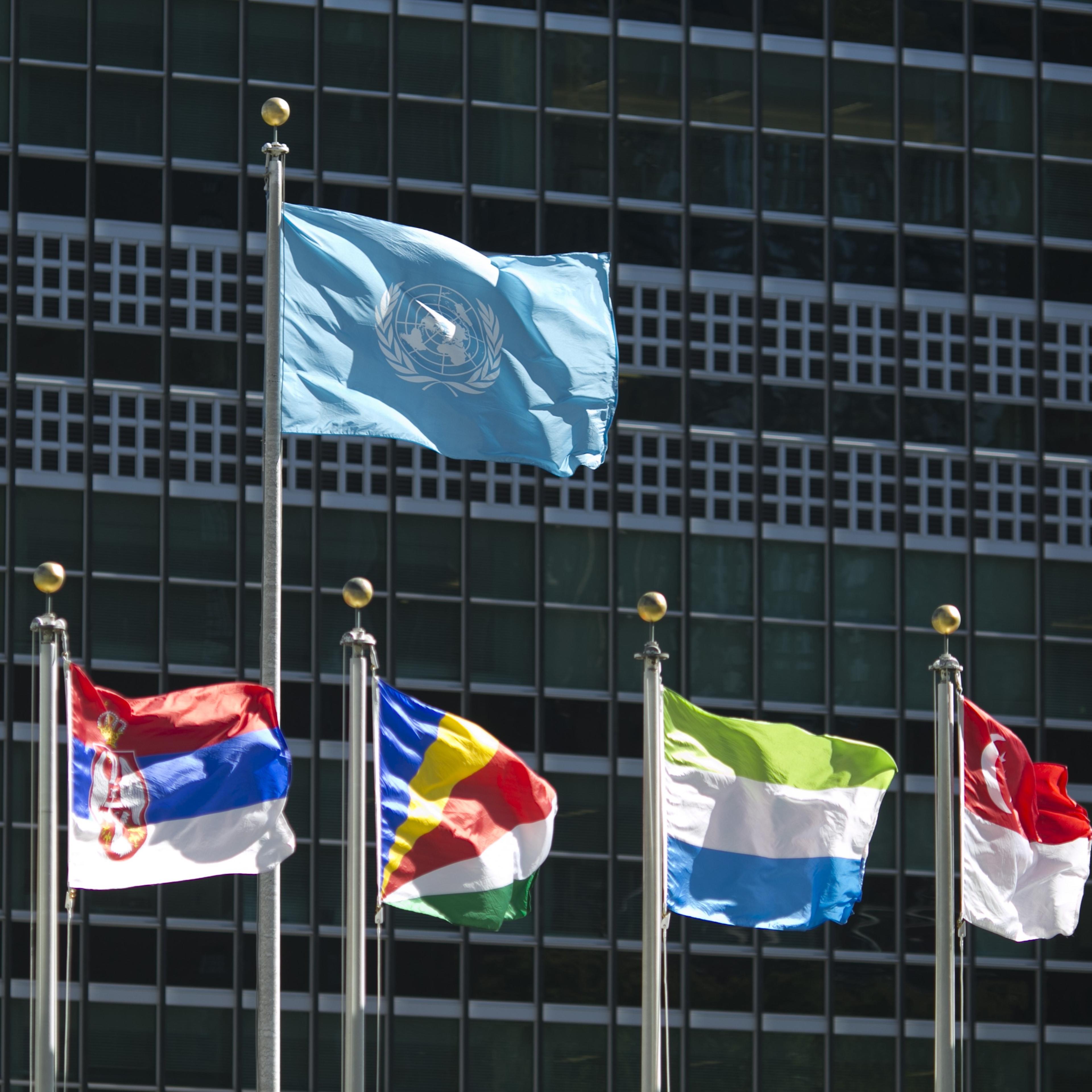 UN-GENERAL ASSEMBLY-FLAGS