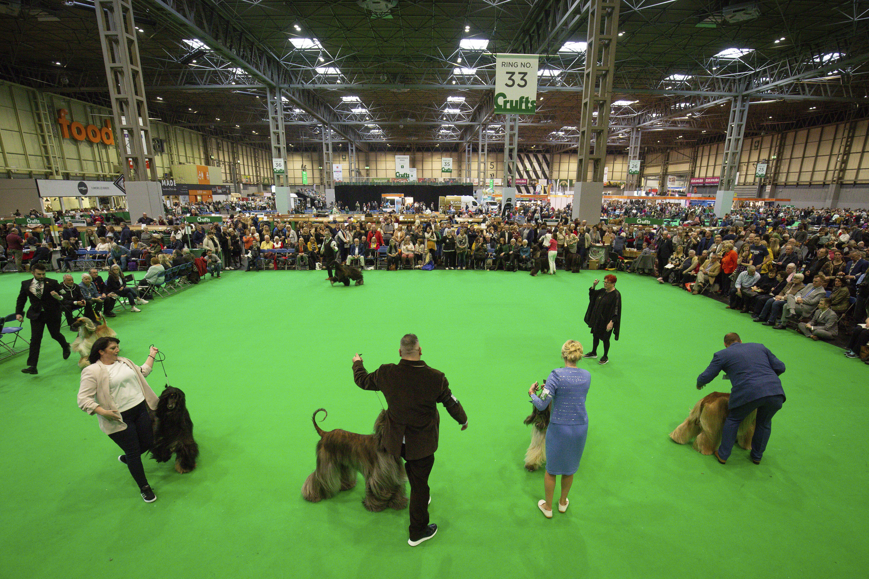 Crufts Dog Show - Day
