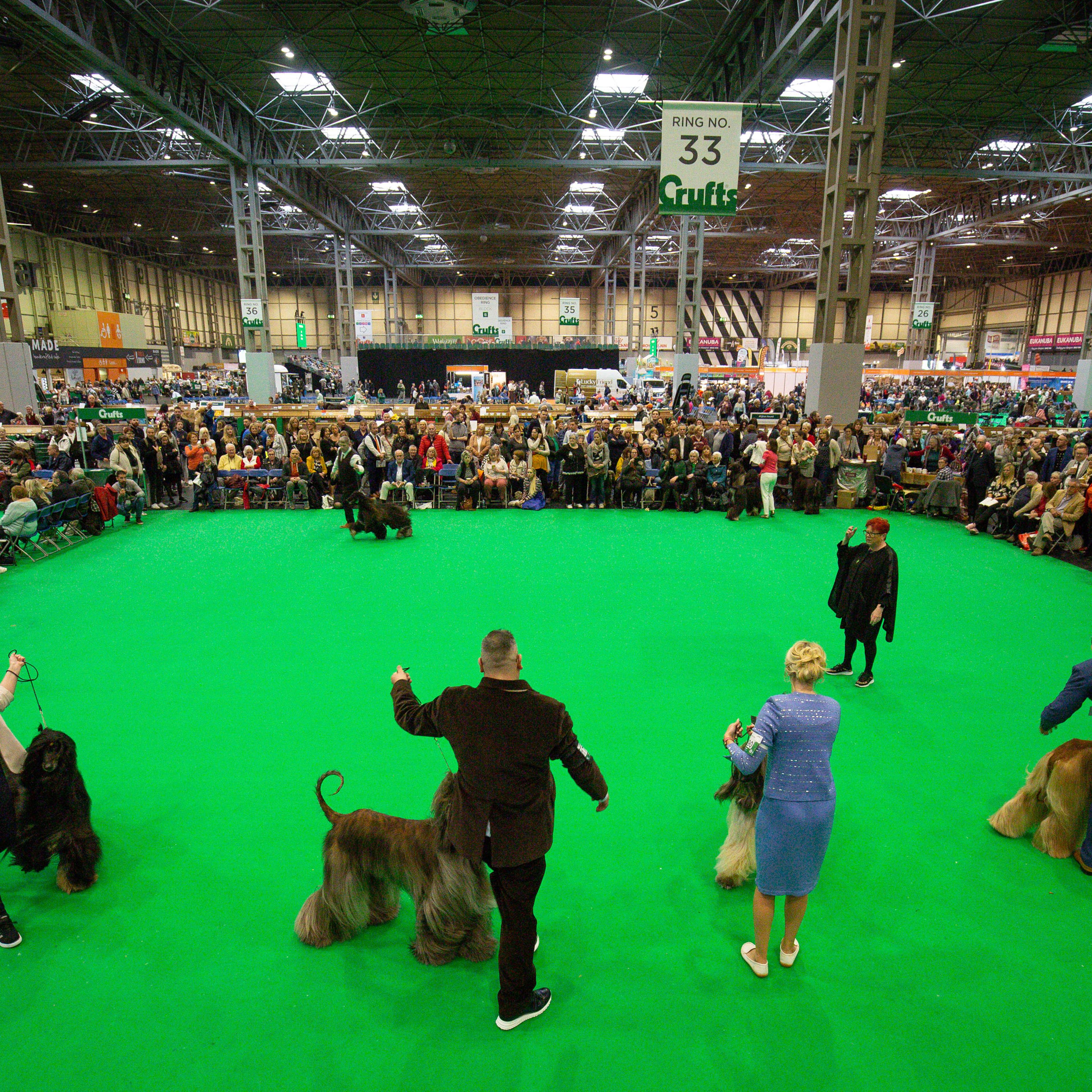 Crufts Dog Show - Day