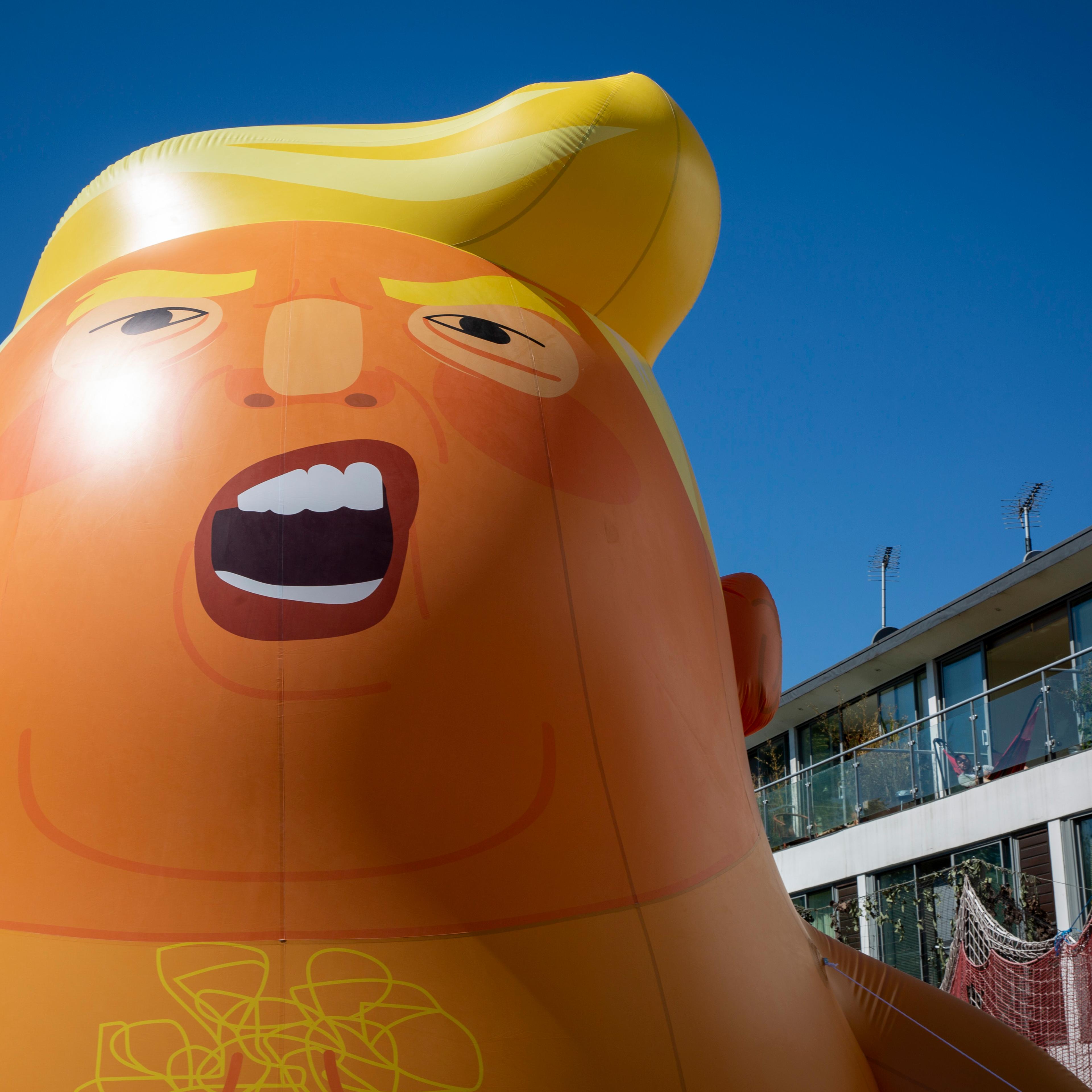 Inflatable Donald Trump Baby For Protest At Trumps UK Visit