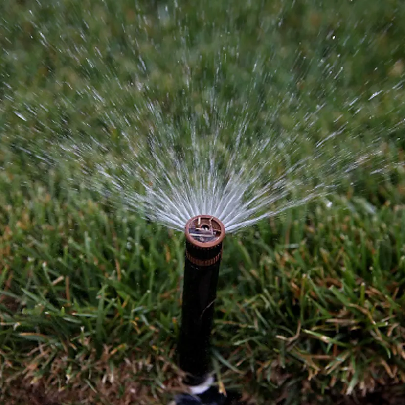Bay Area Water Inspectors Monitor Water Usage