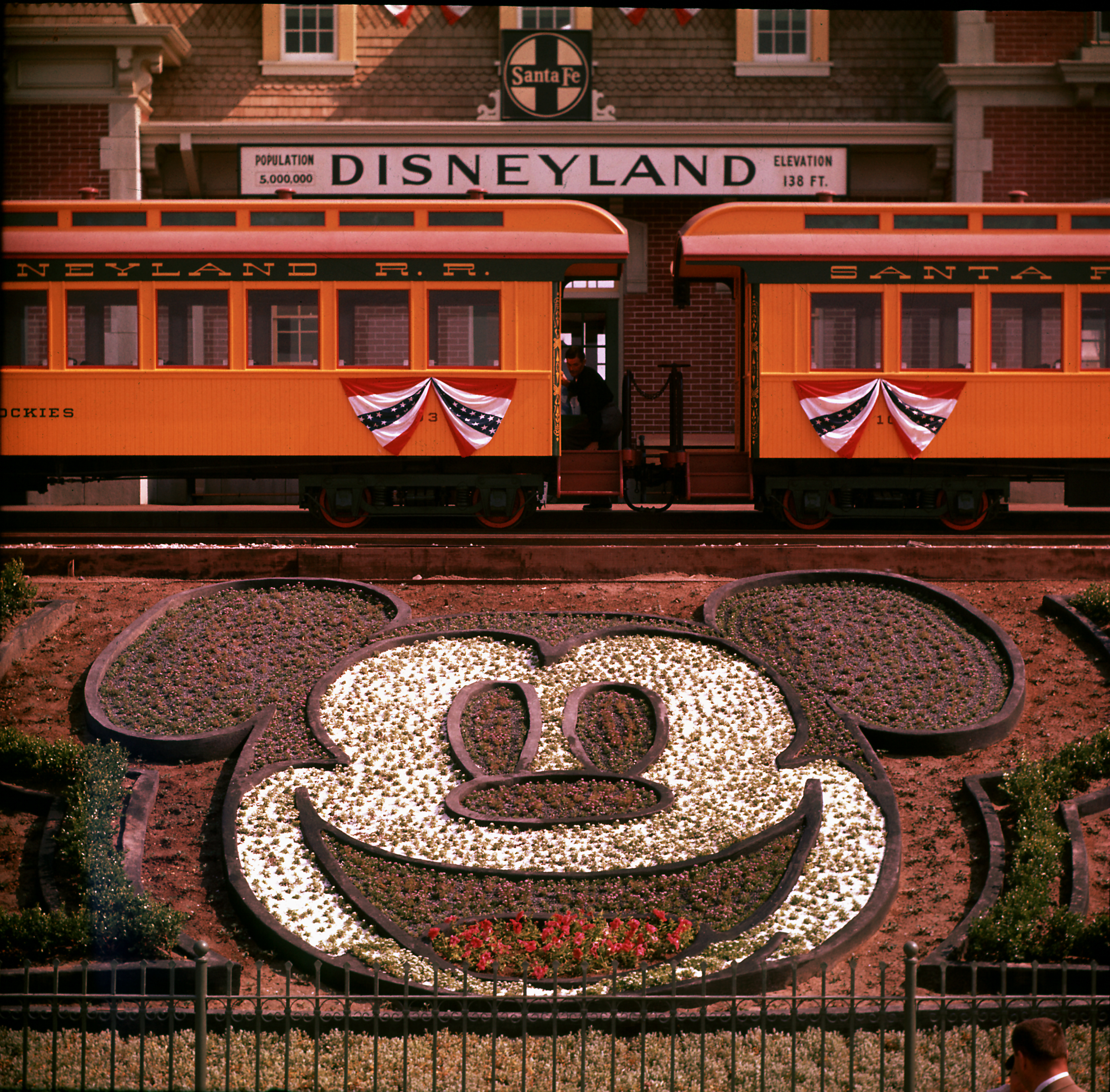 Planted flowers forming design of Mickey